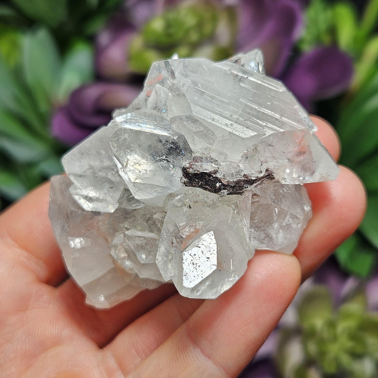 Apophyllite Cluster
