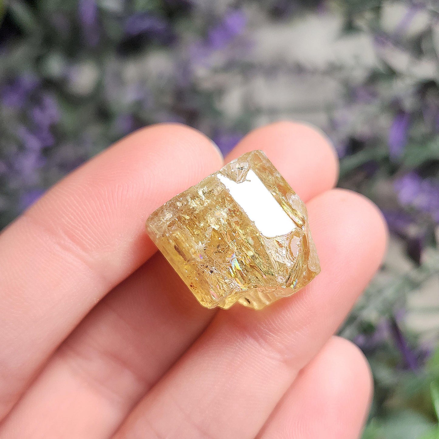 XL Apatite Crystal