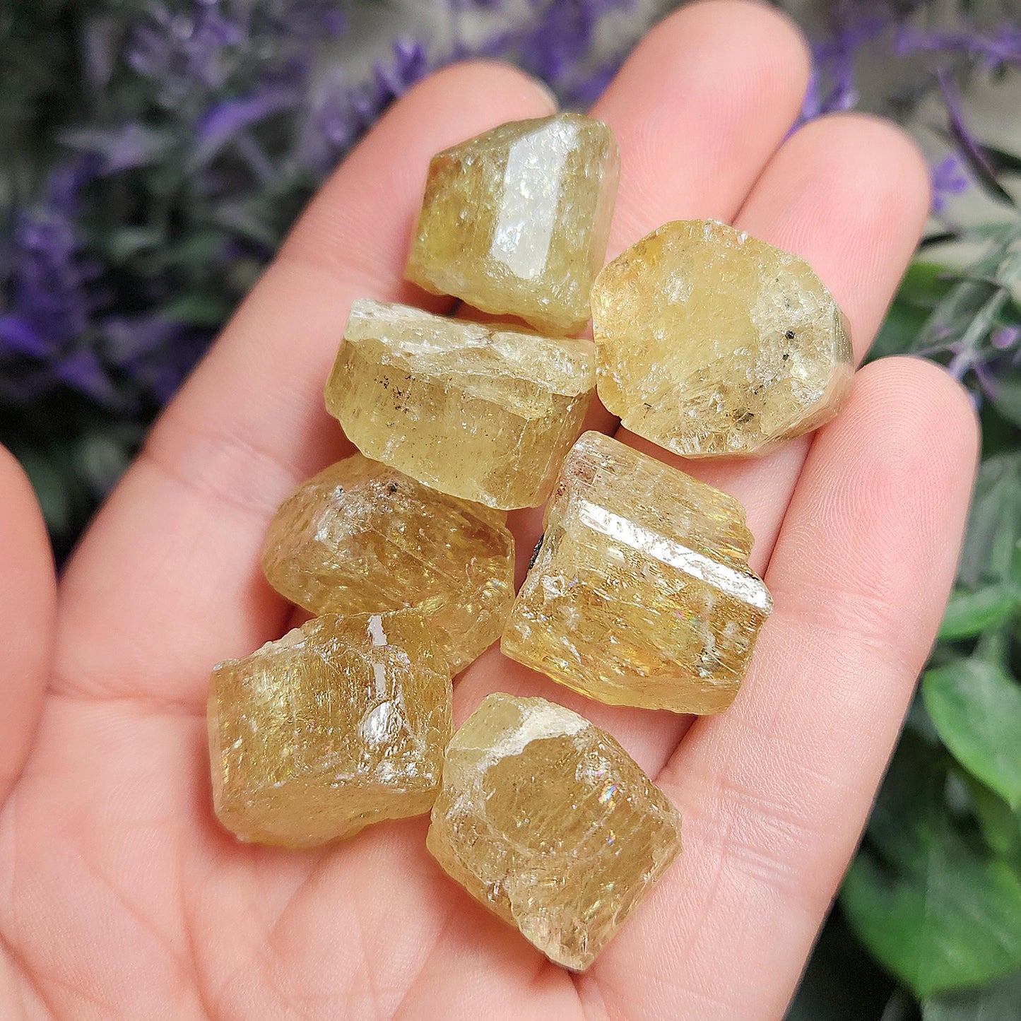 XL Apatite Crystal