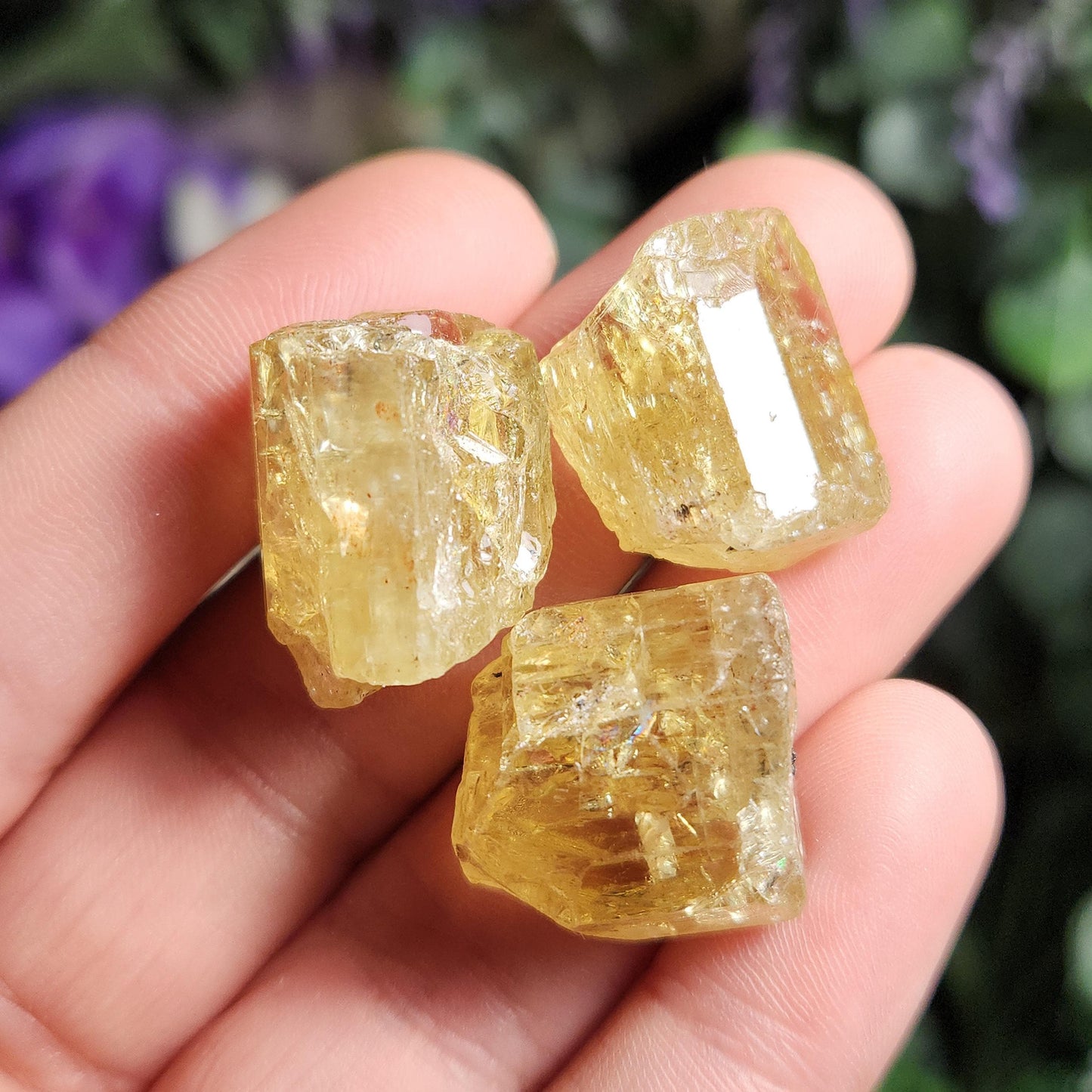 XL Apatite Crystal