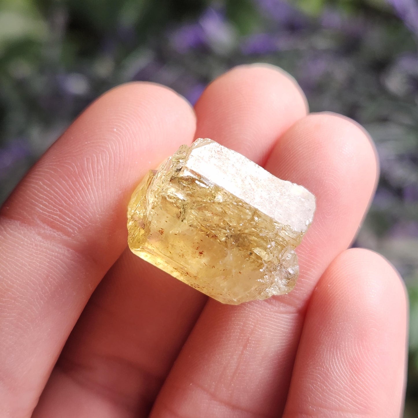 XL Apatite Crystal