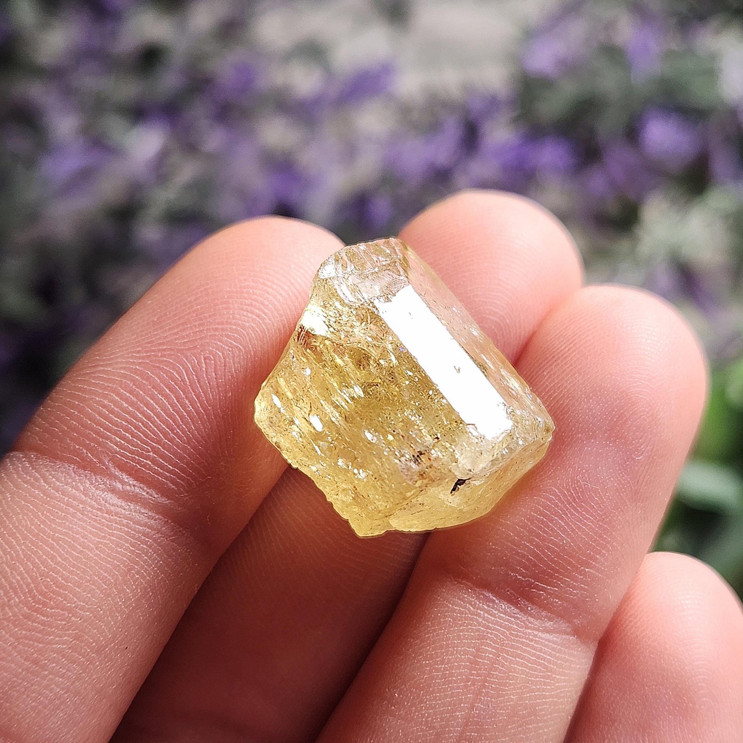XL Apatite Crystal