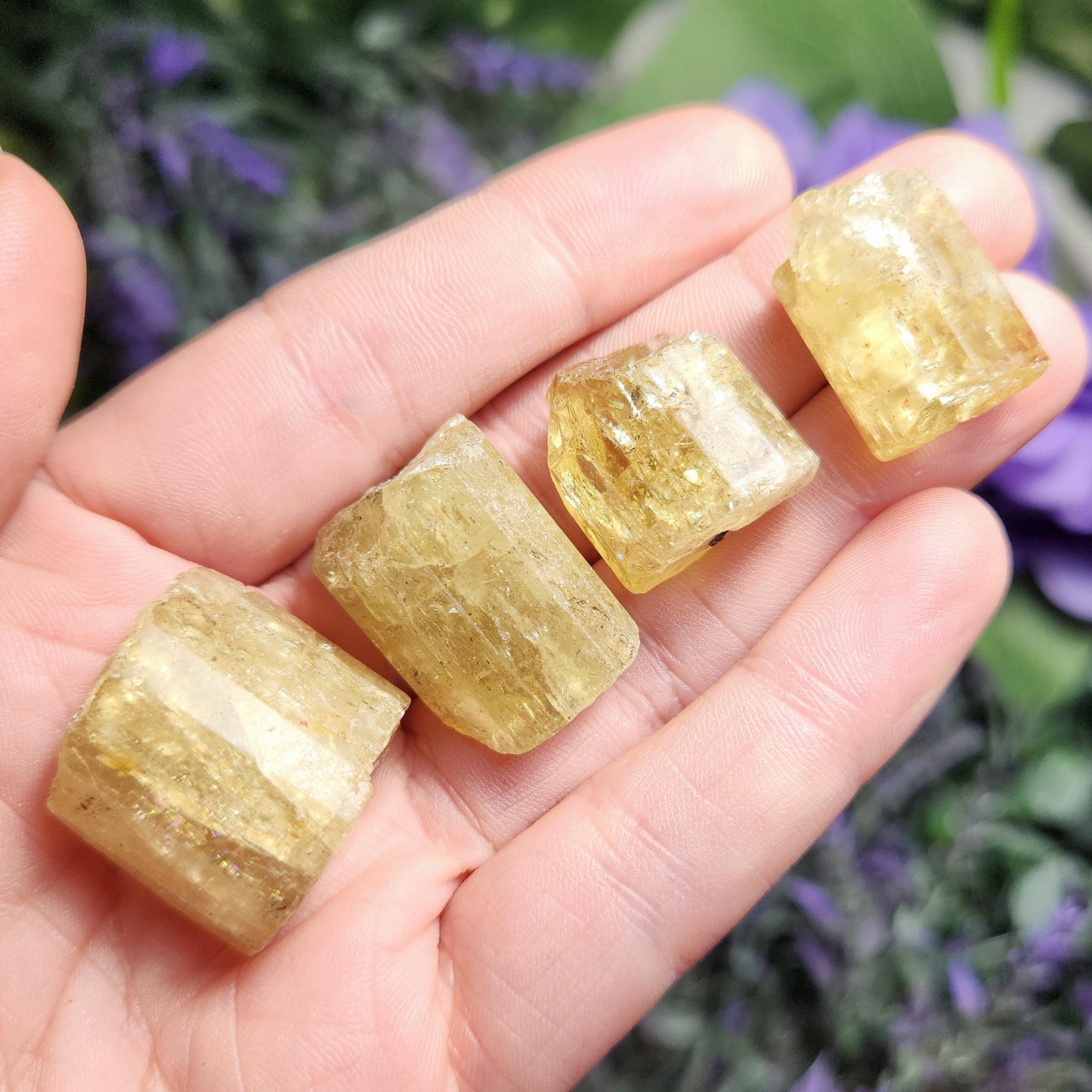 XL Apatite Crystal