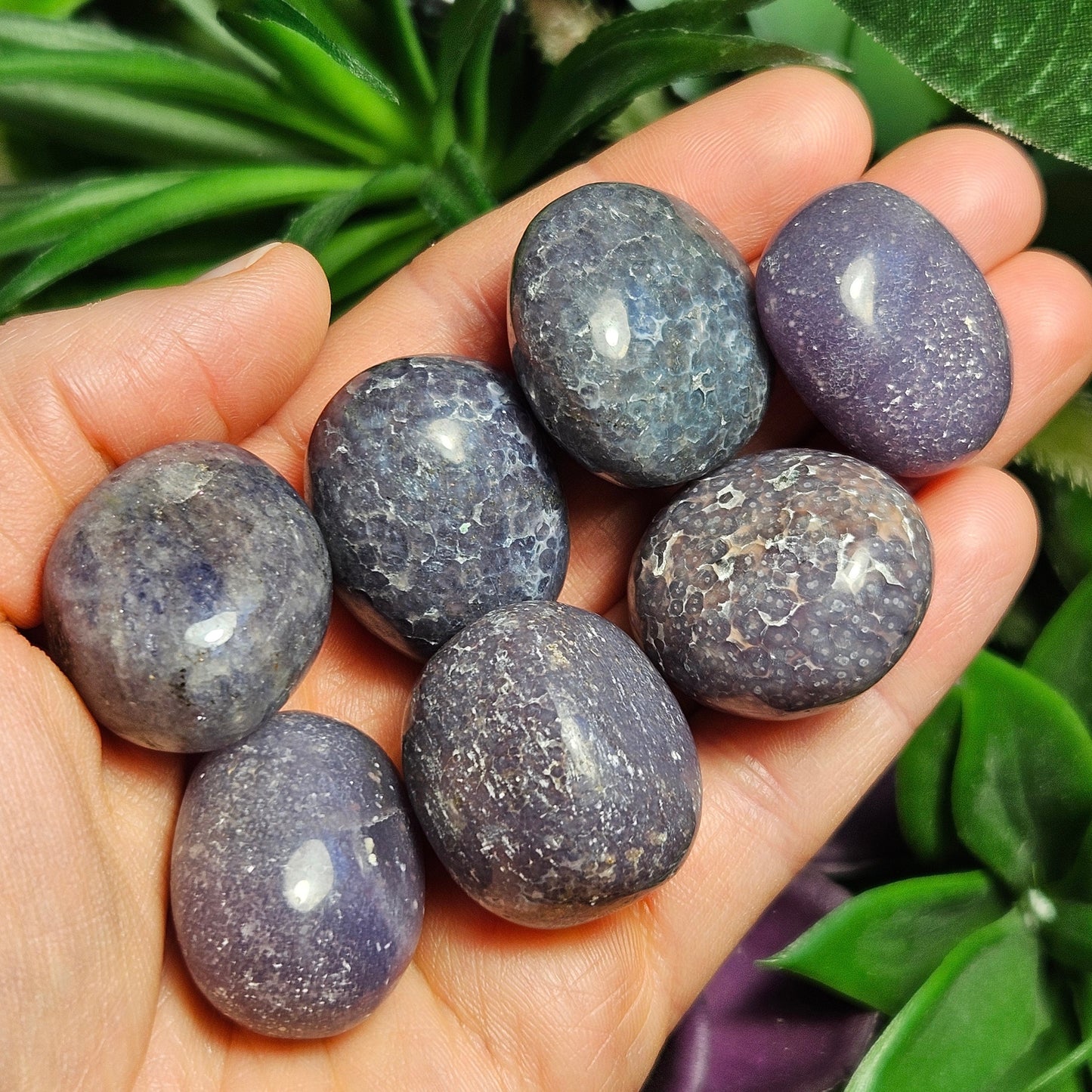 Purple Grape Agate