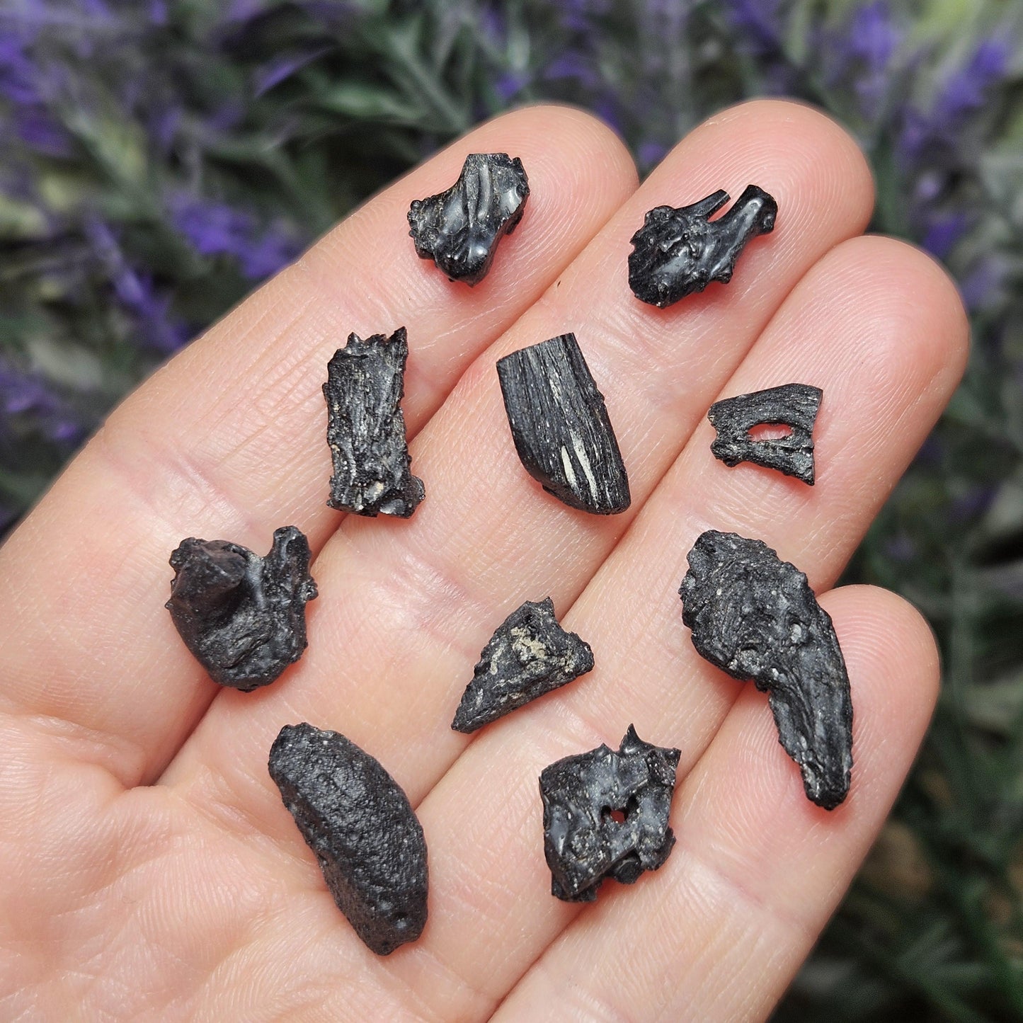 Irgizite Meteorite Specimen