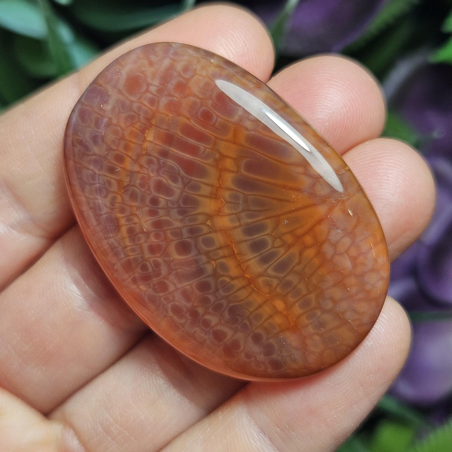 Snakeskin Agate
