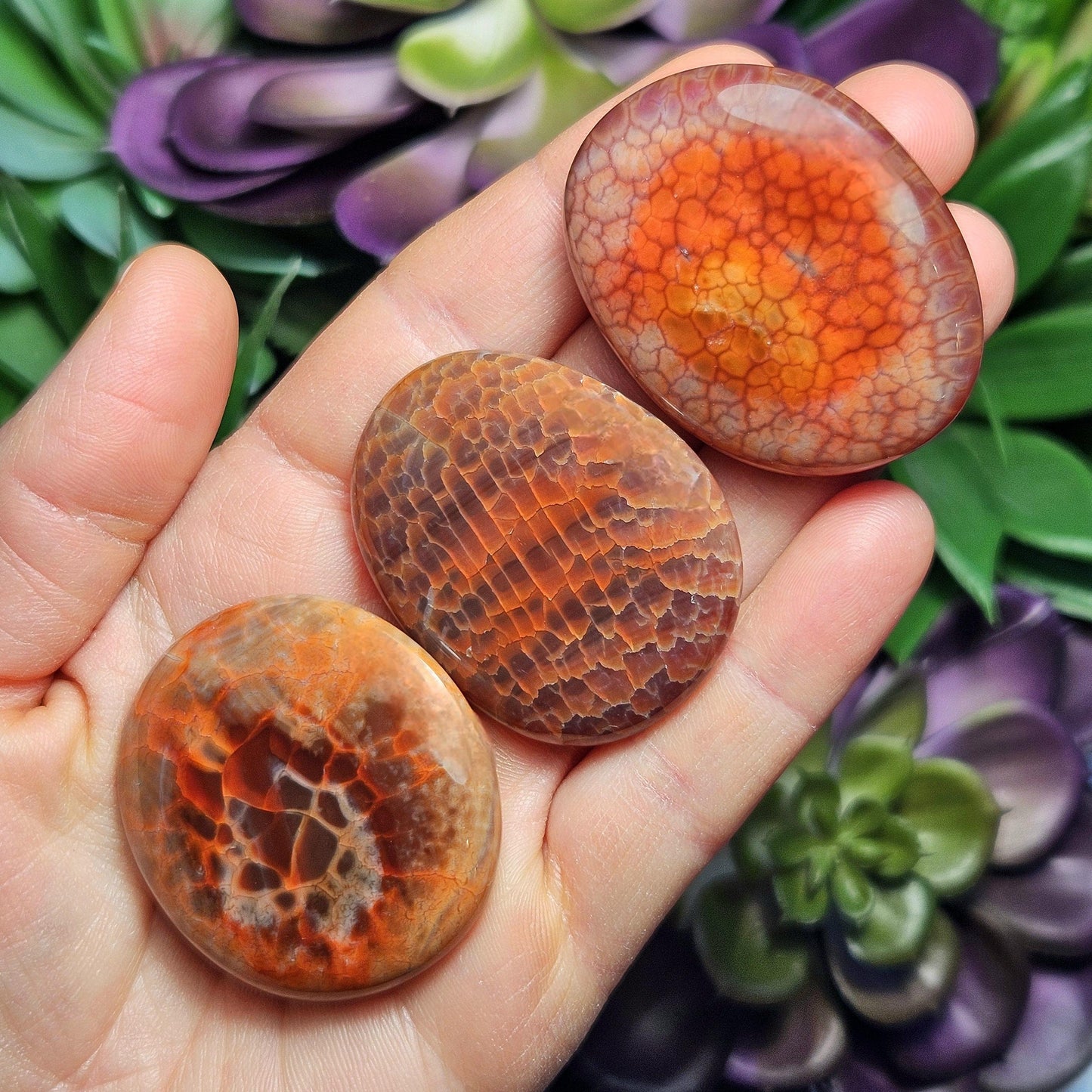 Snakeskin Agate