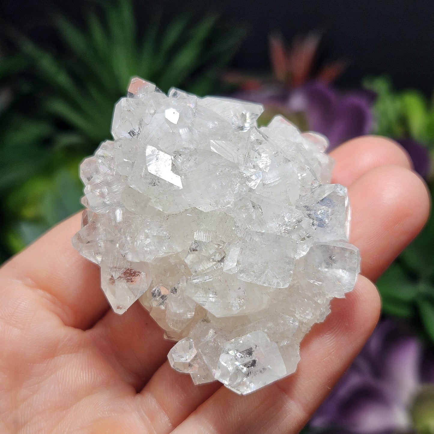Apophyllite Cluster