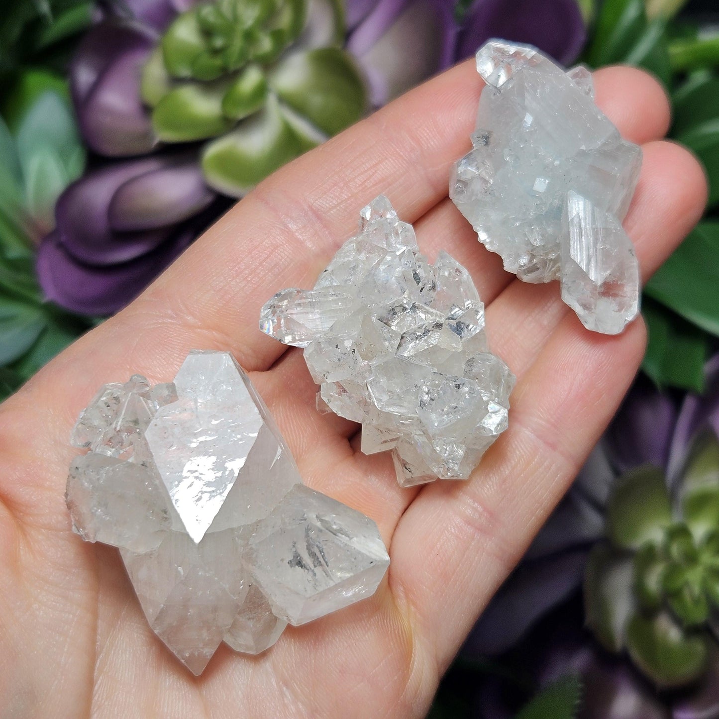 Apophyllite Cluster