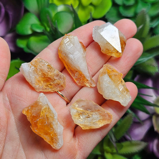 Citrine Crystal Point, Brazilian Citrine Specimen