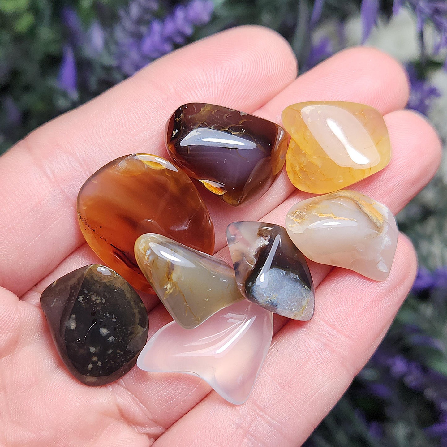 Montana Agate