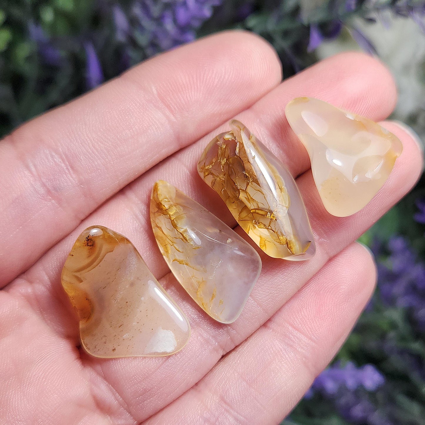 Golden Montana Agate