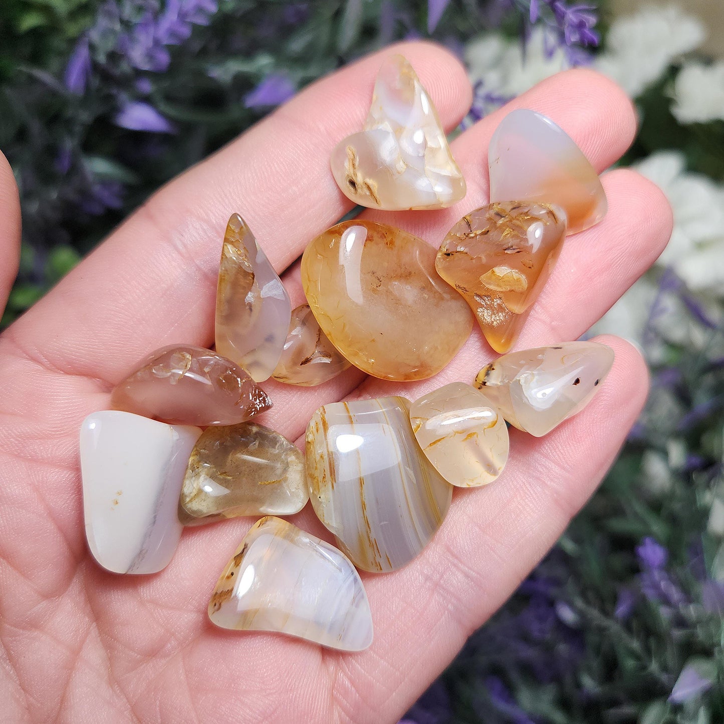 Golden Montana Agate