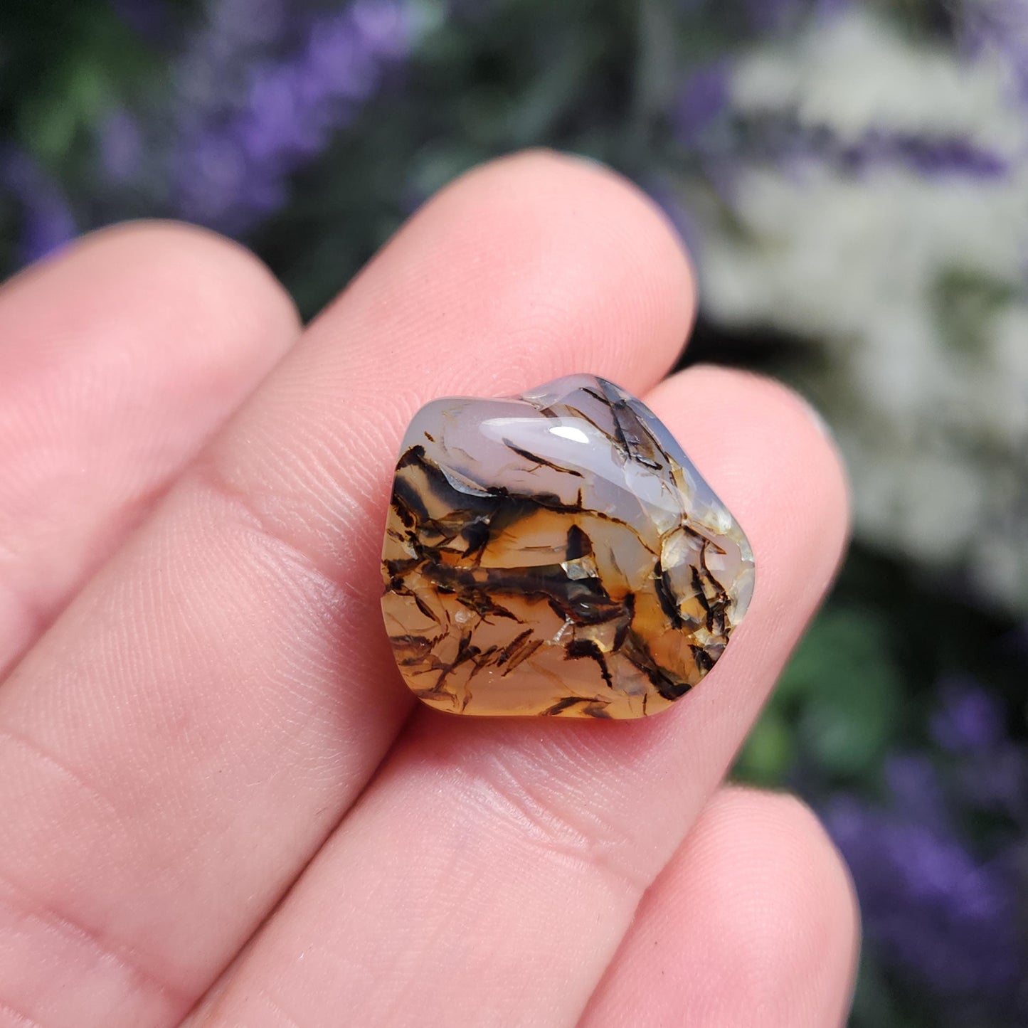 Montana Agate