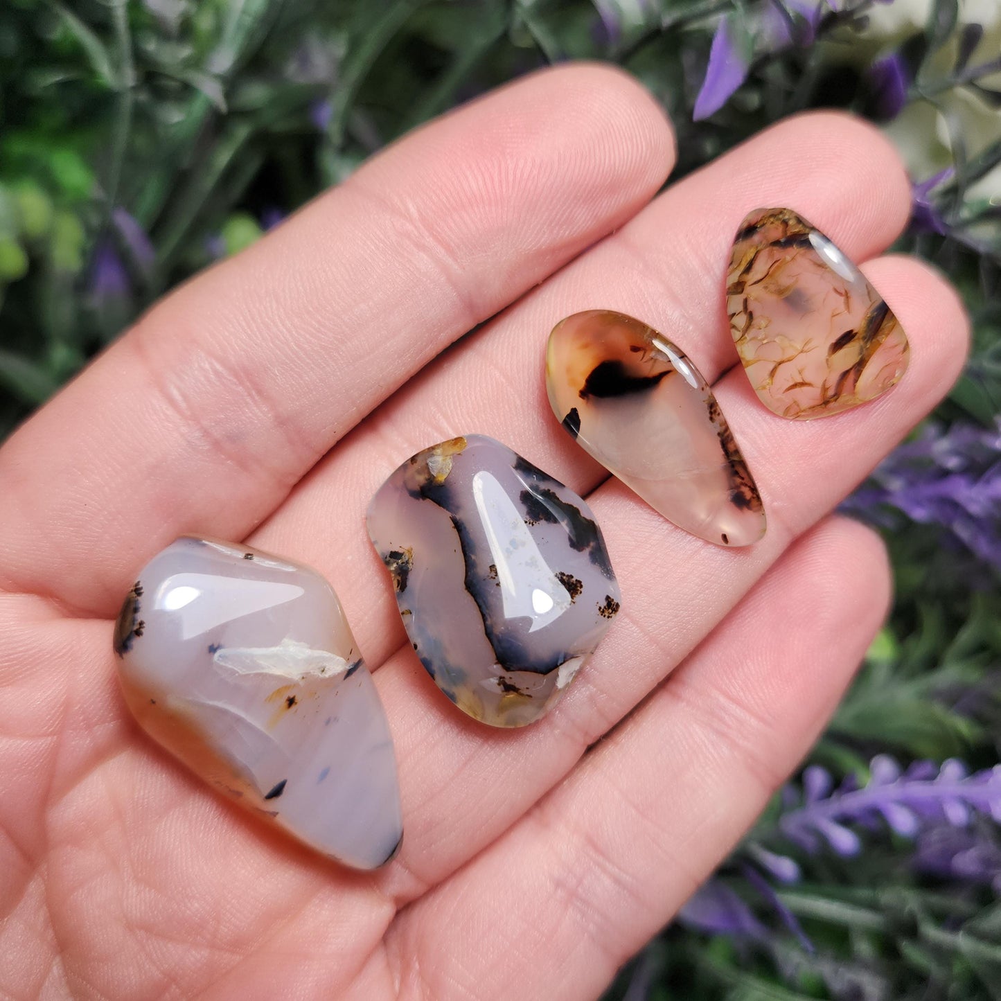 Montana Agate