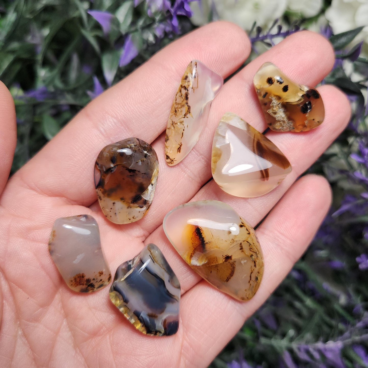 Montana Agate