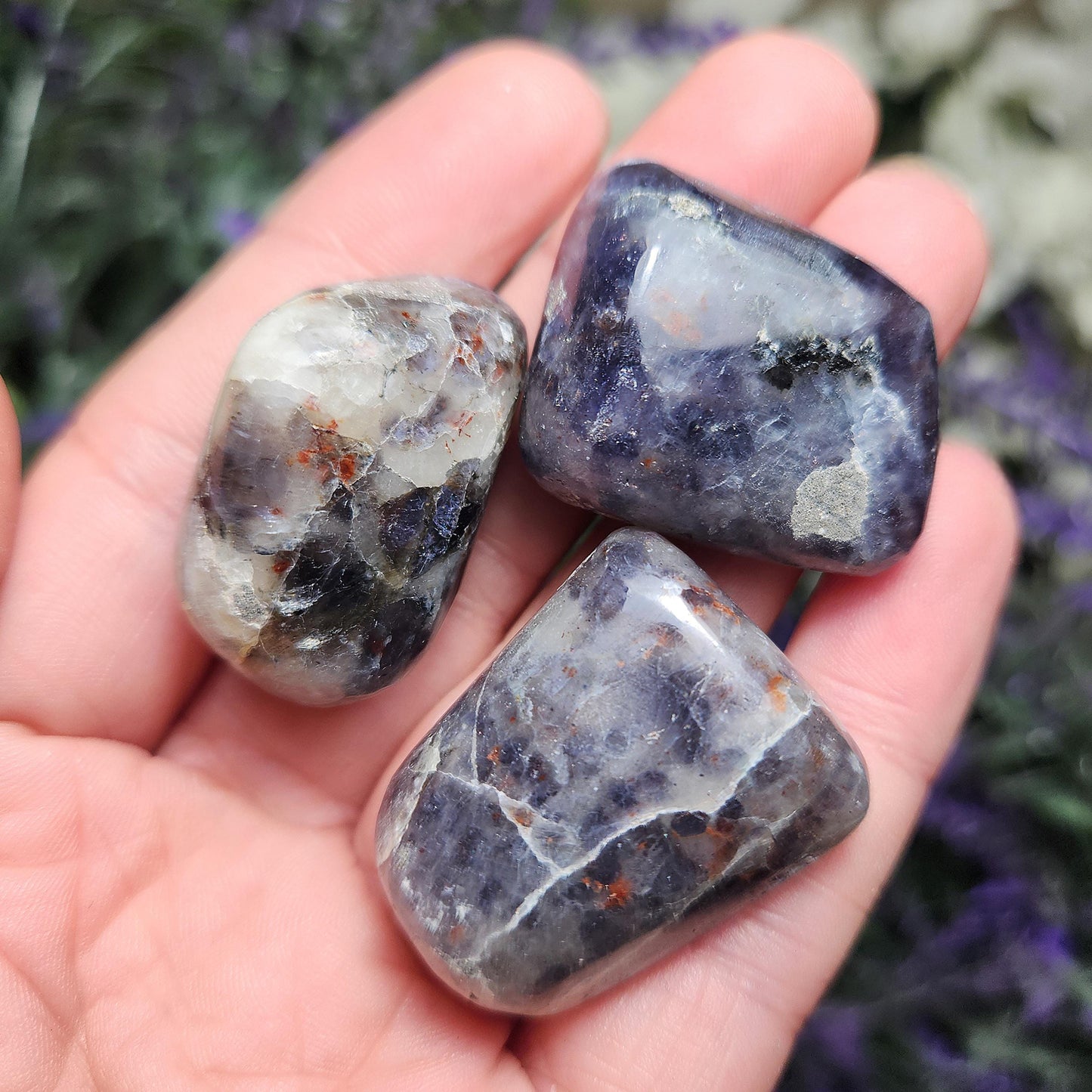 Iolite Sunstone