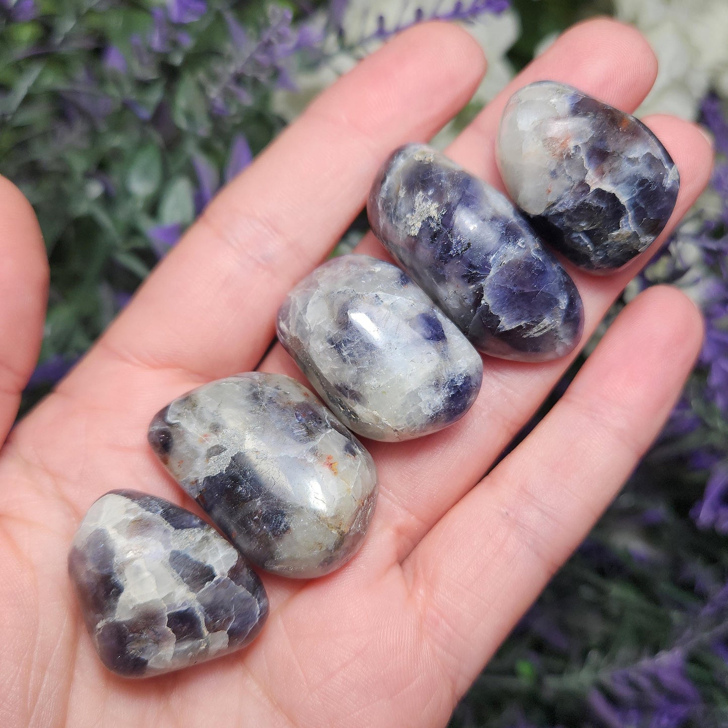 Iolite Sunstone