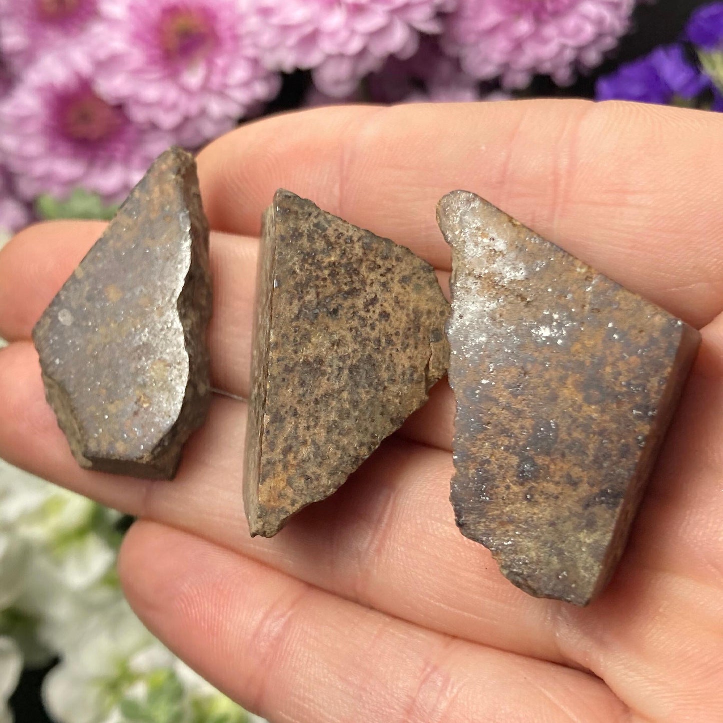 Meteorite Specimen
