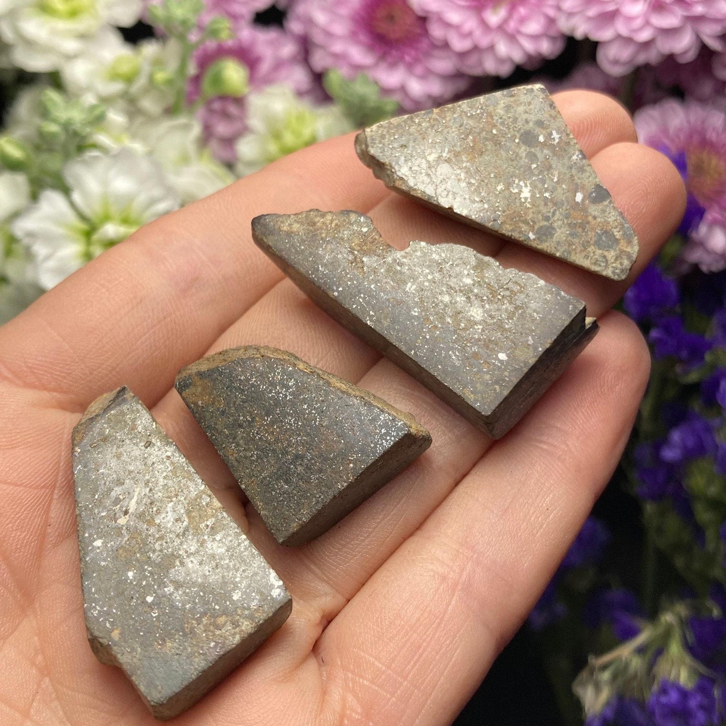 Meteorite Specimen
