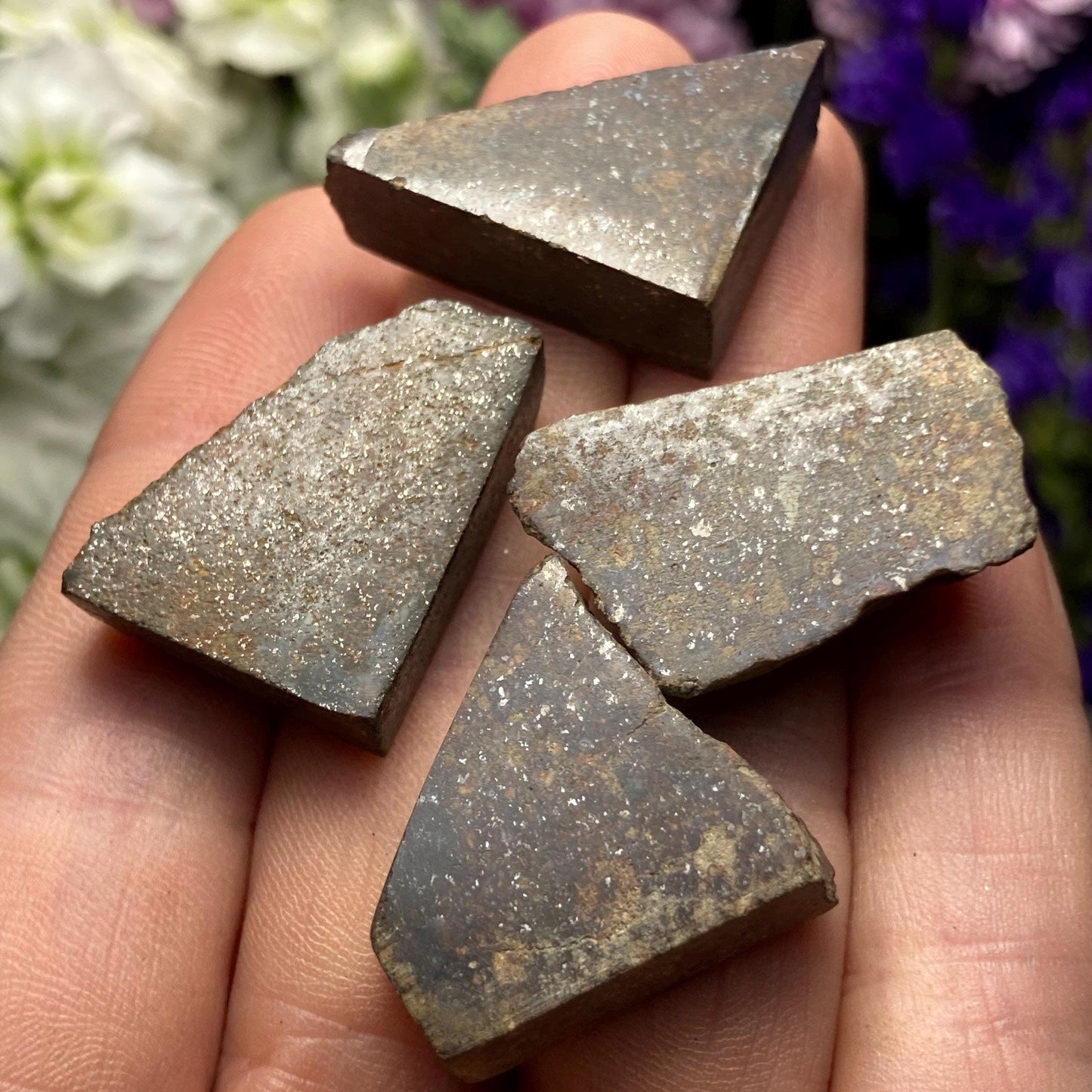 Meteorite Specimen