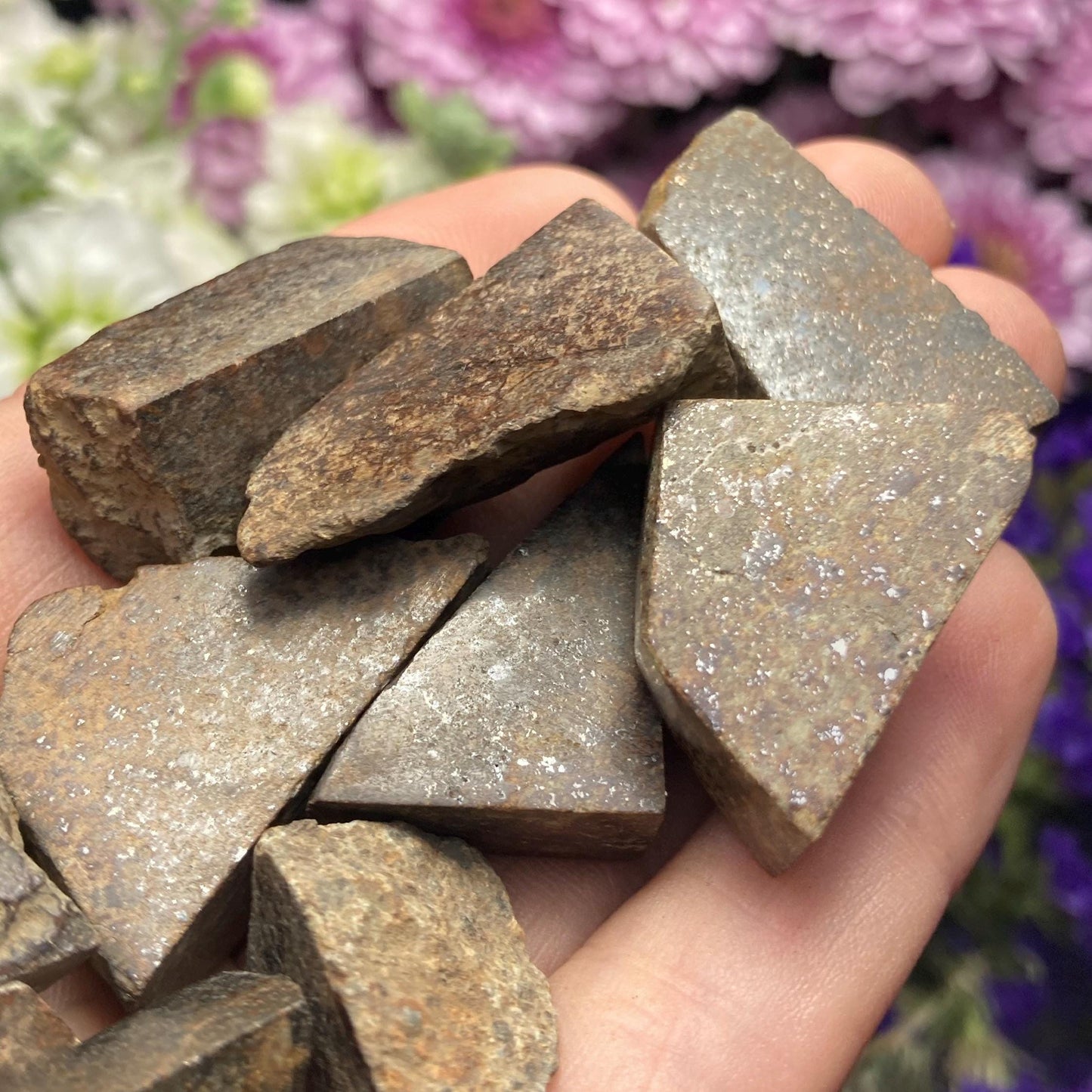 Meteorite Specimen