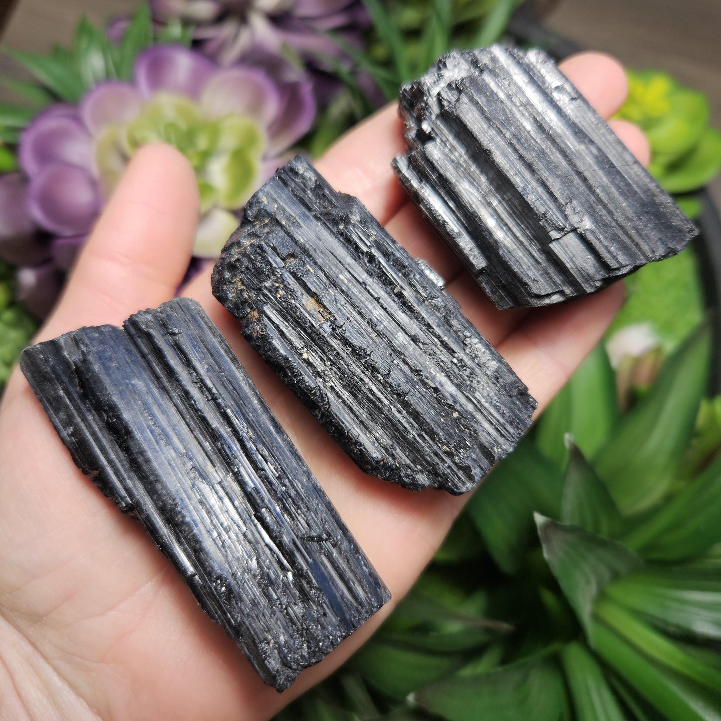 XL Black Tourmaline Crystal