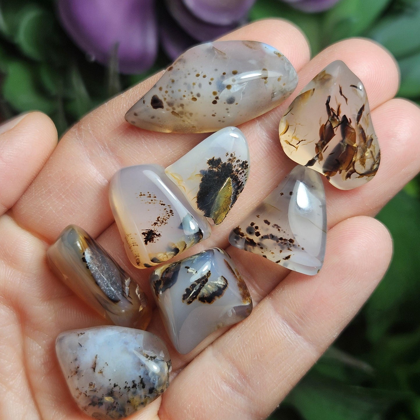 Montana Agate