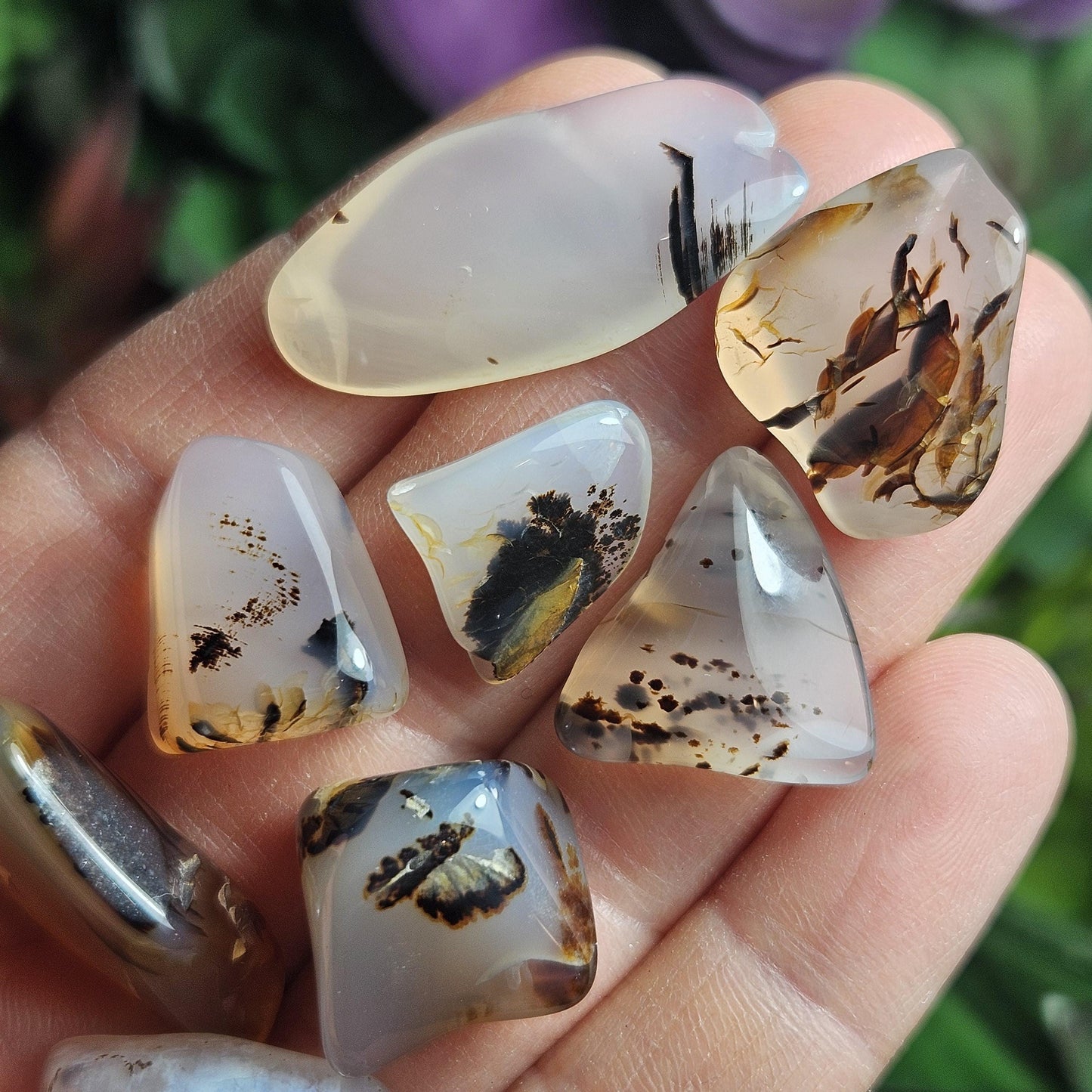Montana Agate