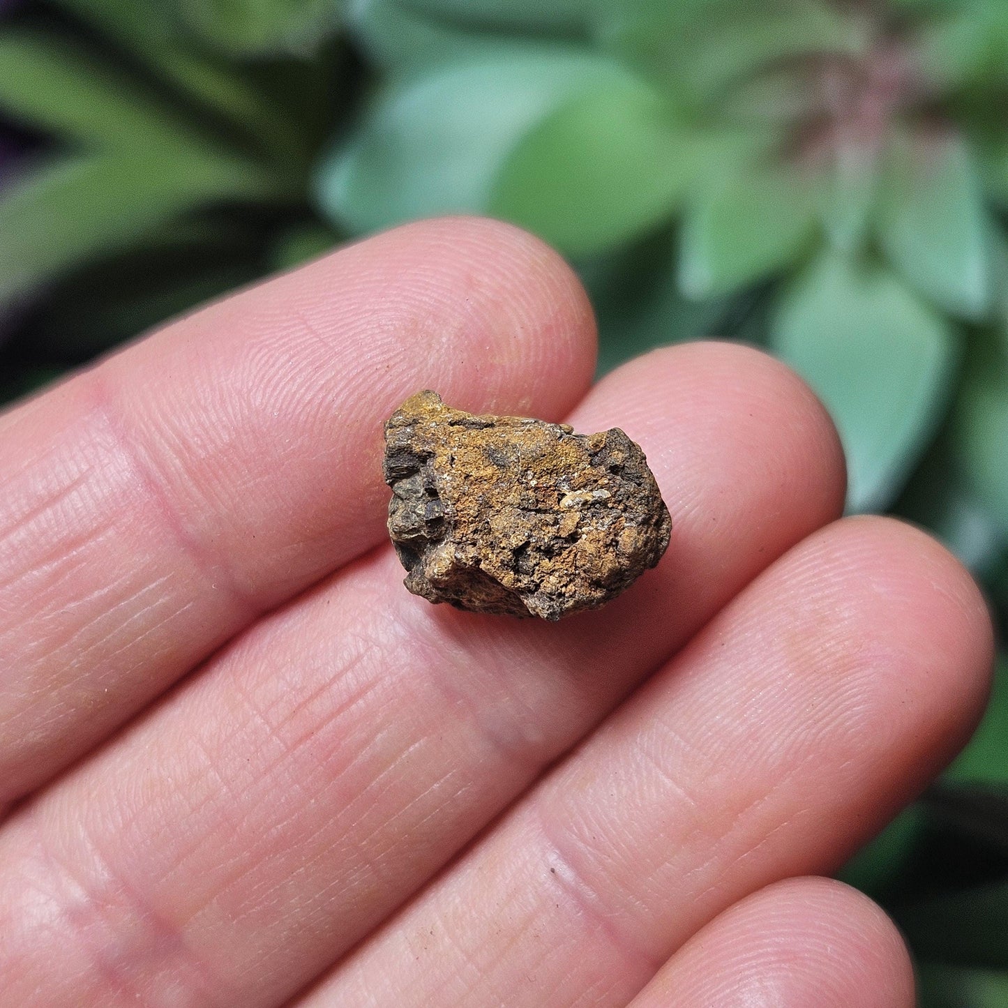 Kenyan Meteorite Specimen