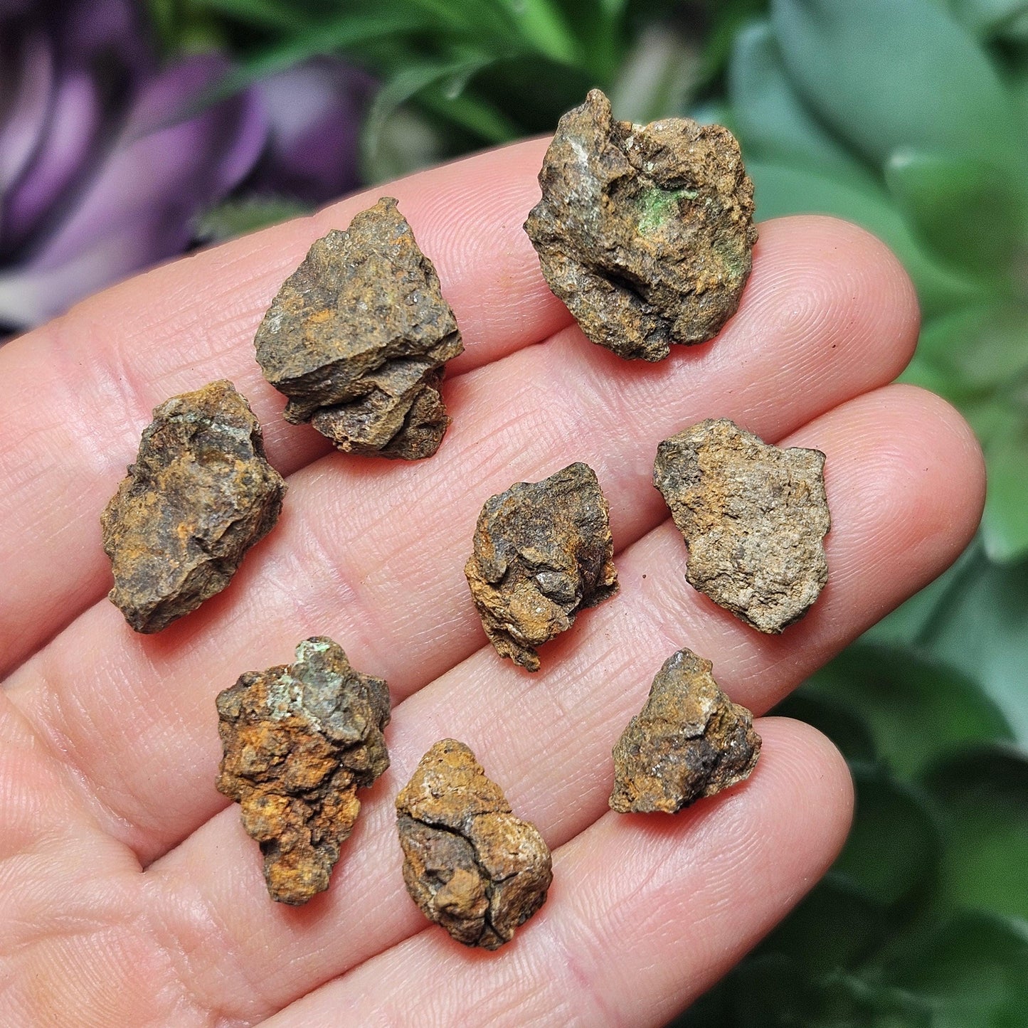 Kenyan Meteorite Specimen