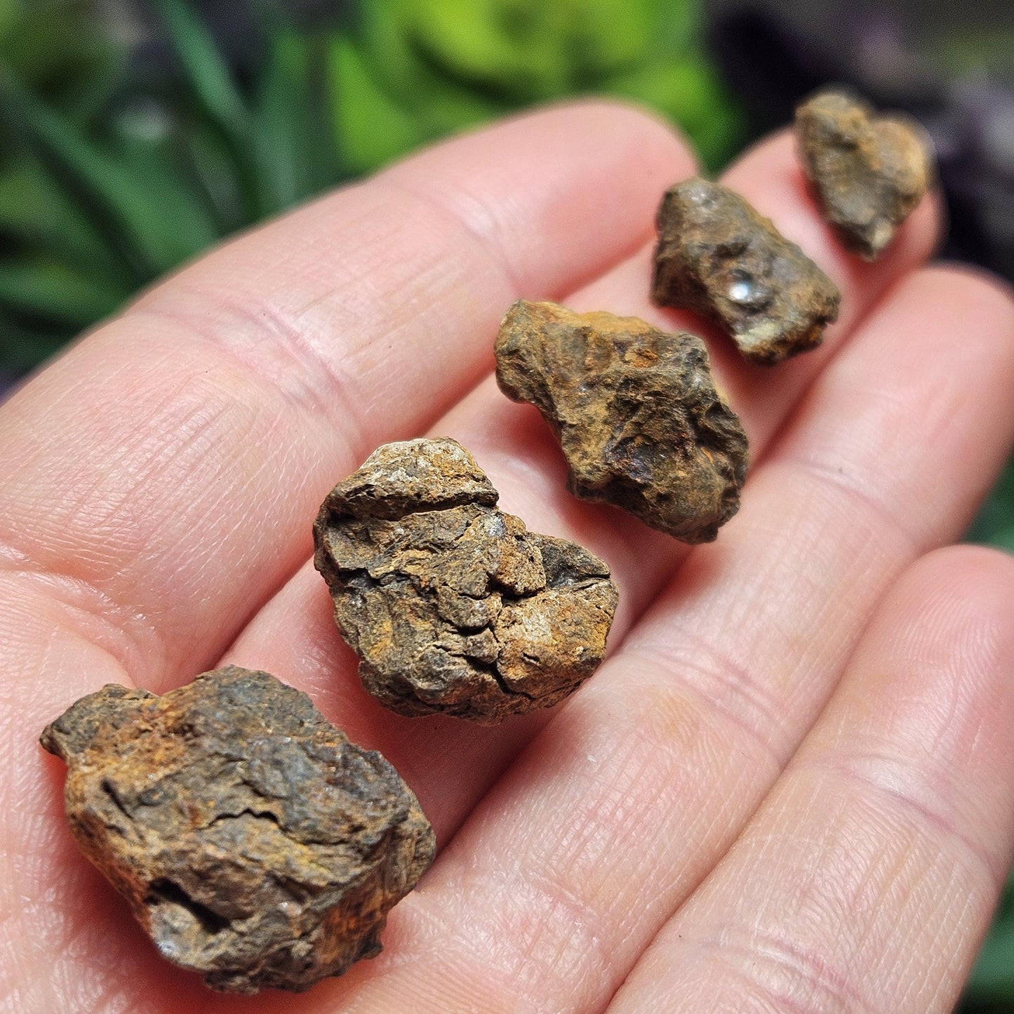 Kenyan Meteorite Specimen