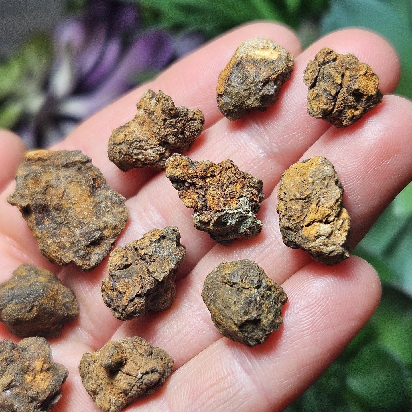 Kenyan Meteorite Specimen