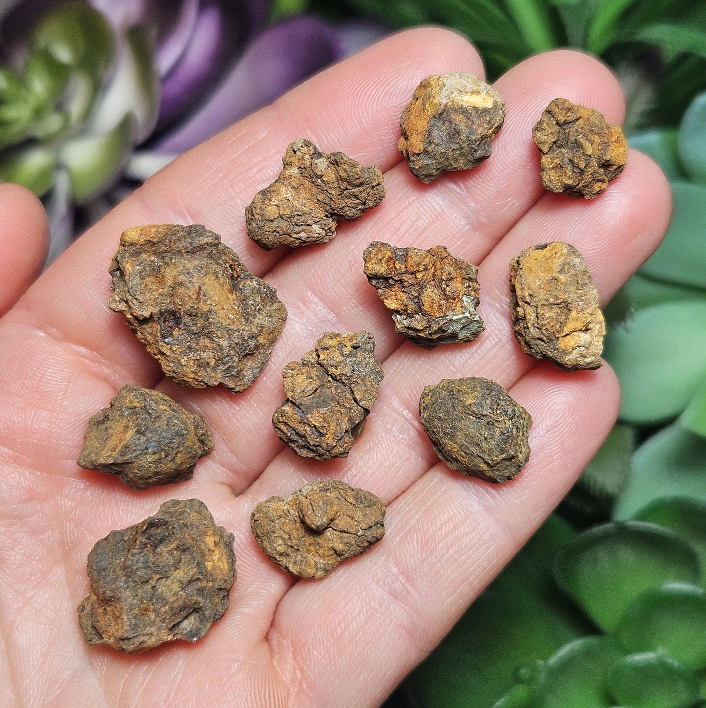 Kenyan Meteorite Specimen