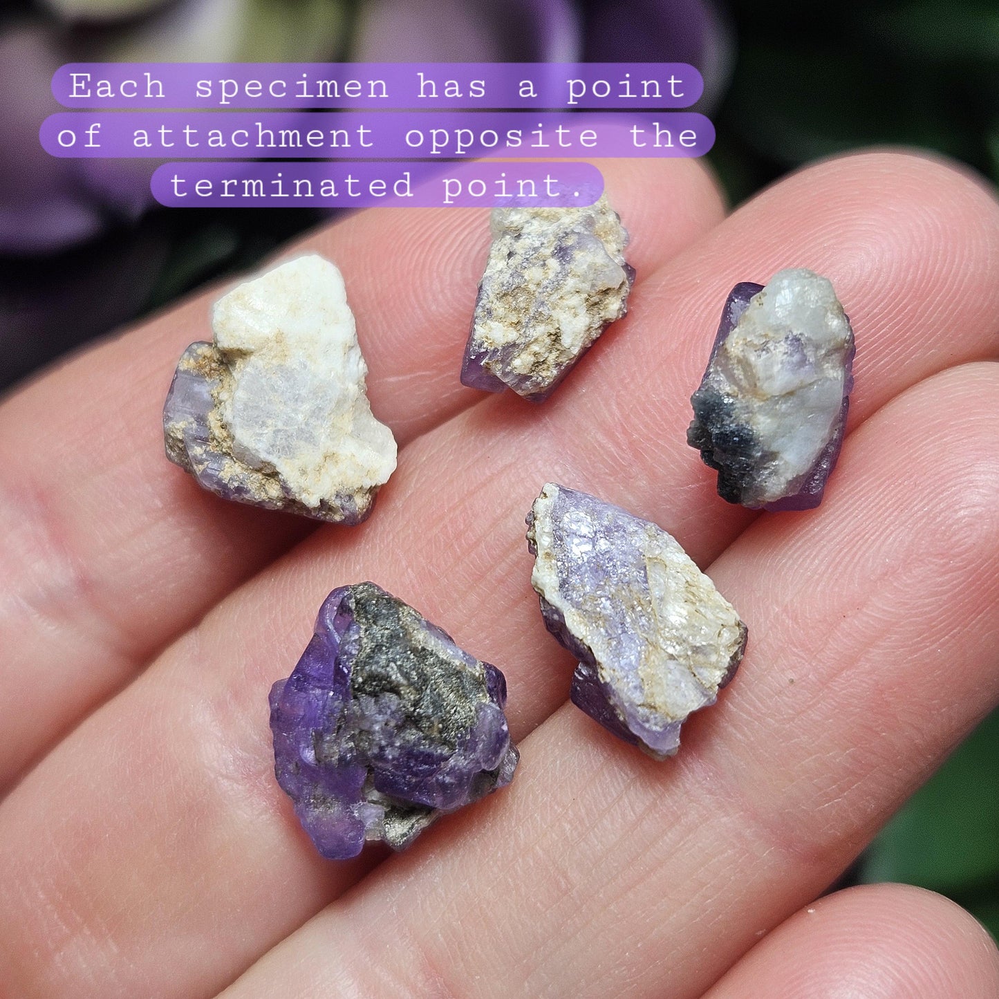 AAA Purple Apatite