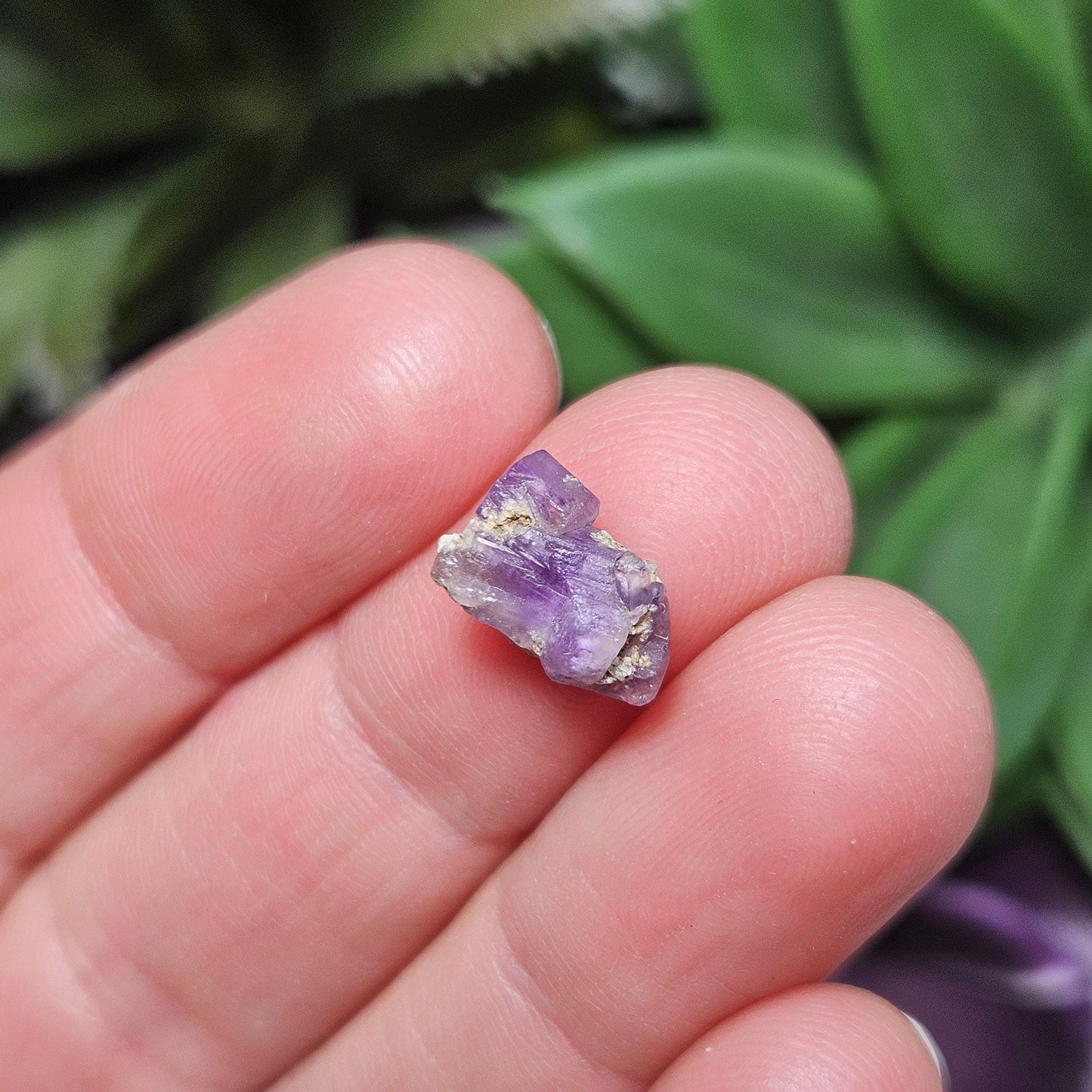 AAA Purple Apatite