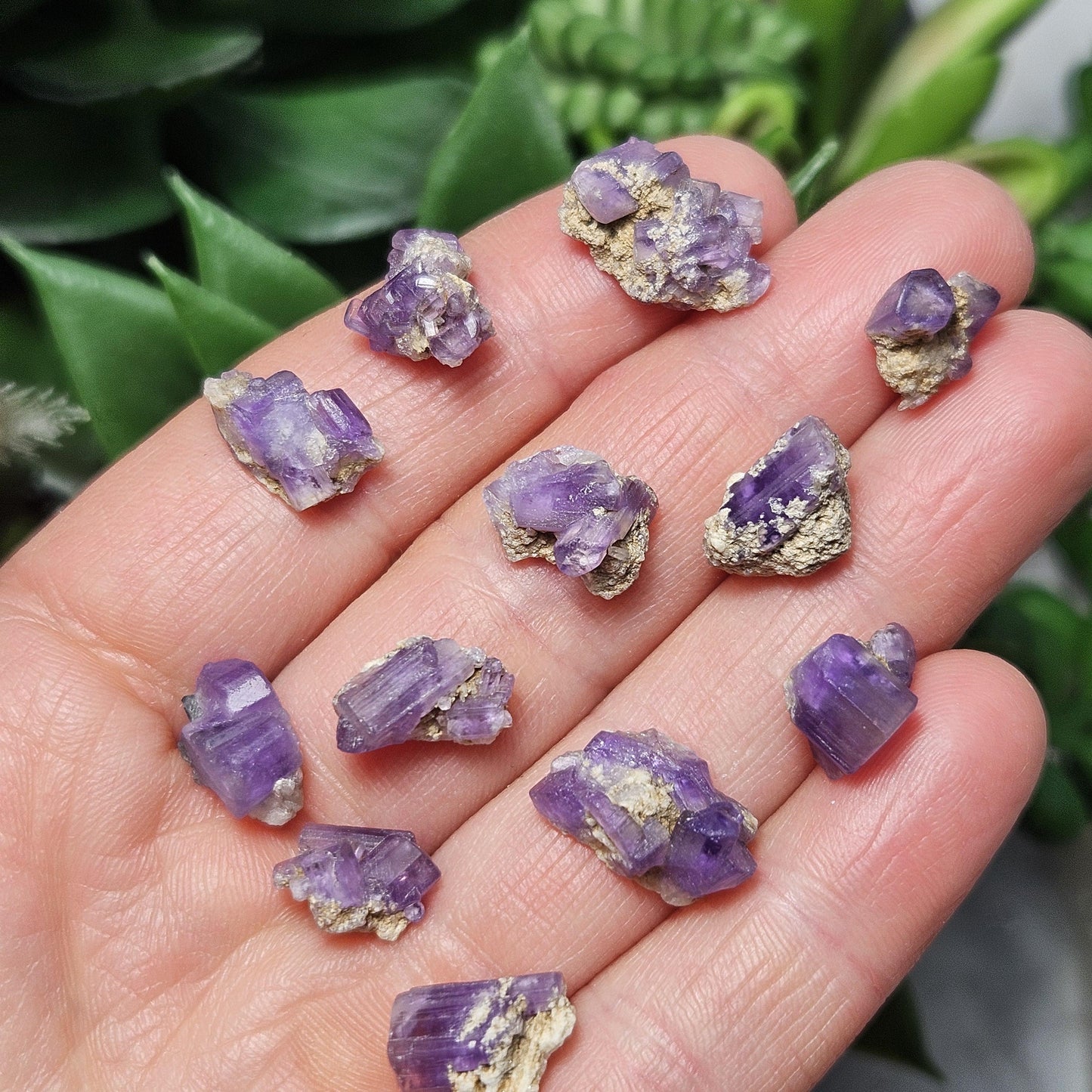 AAA Purple Apatite