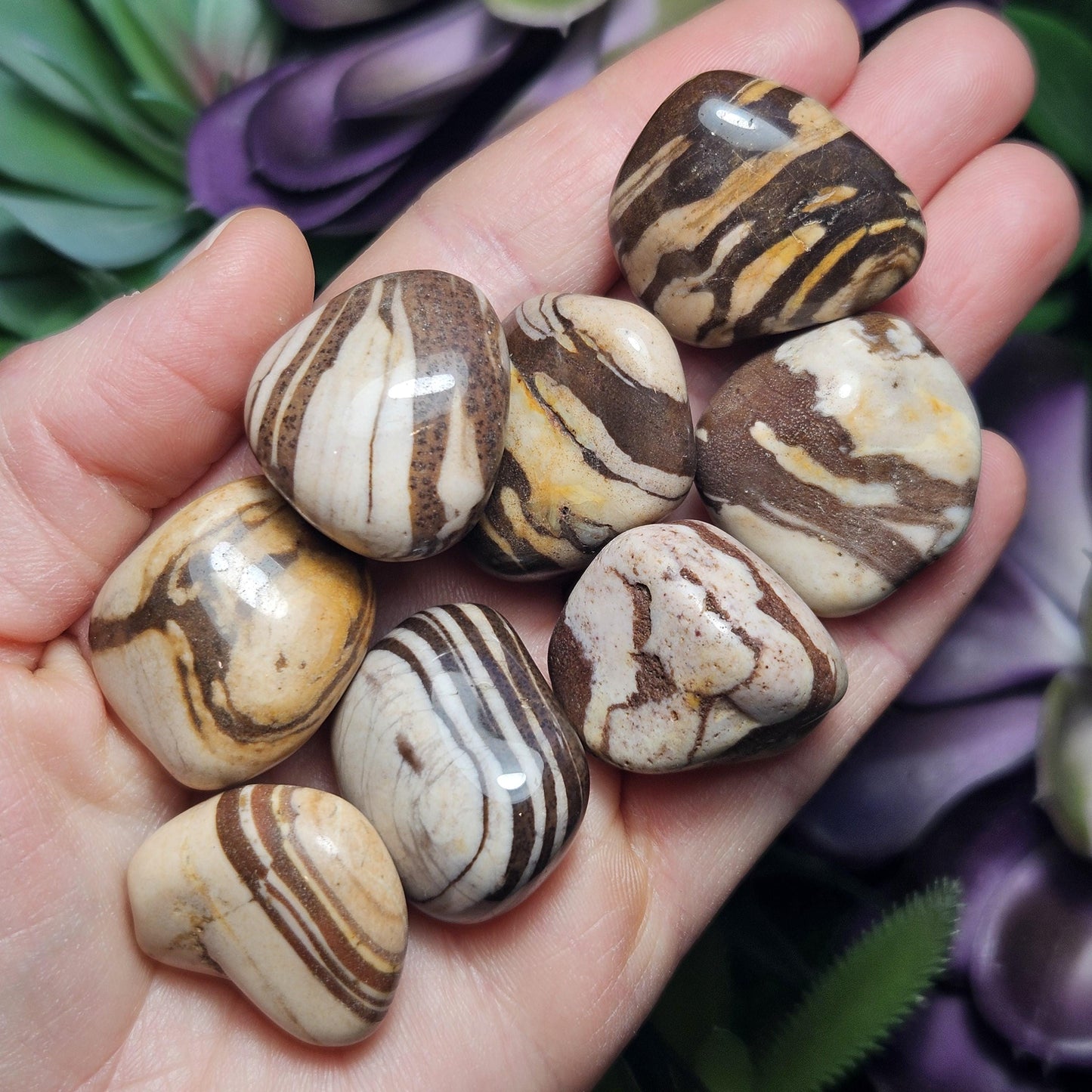 Red Zebra Jasper