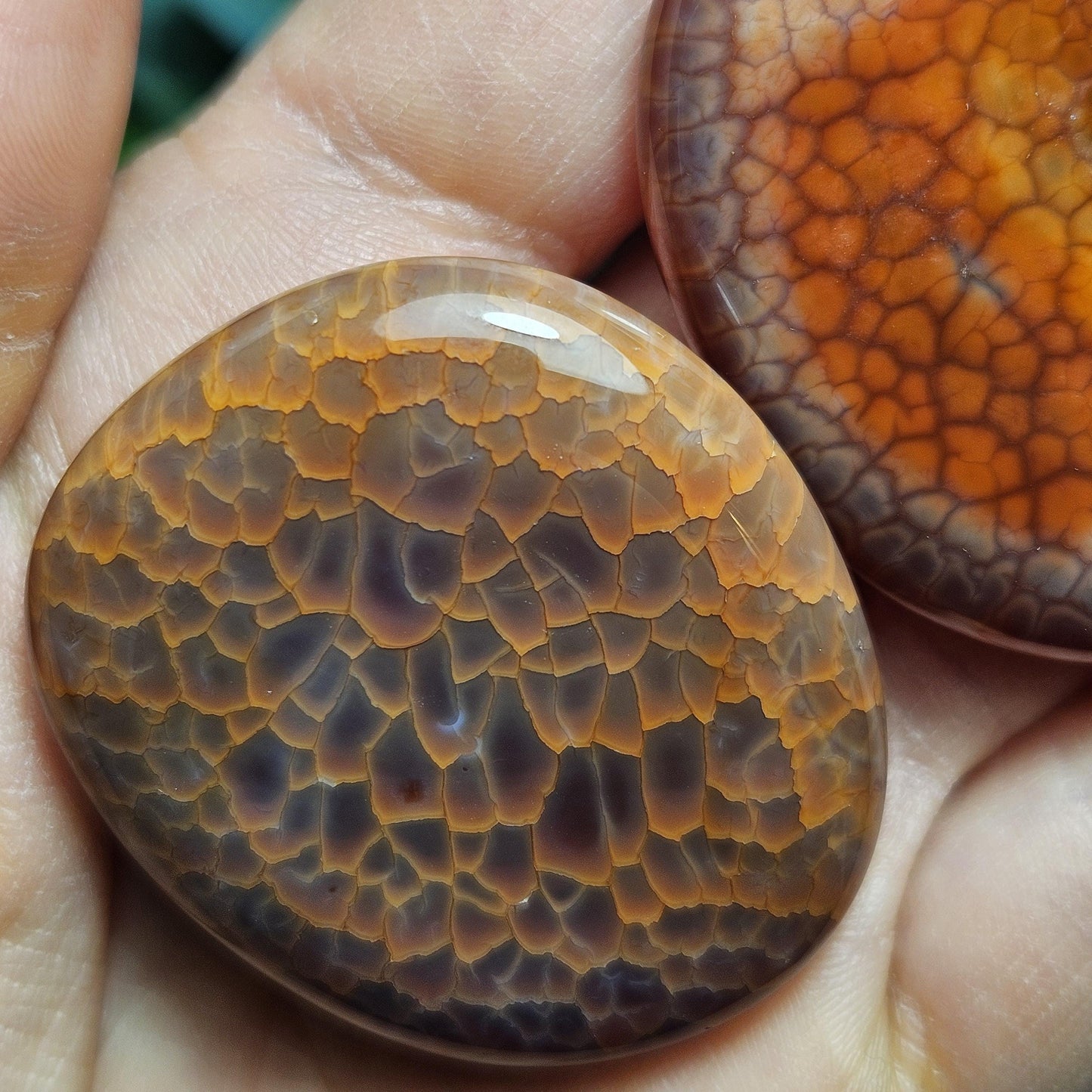 Snakeskin Agate