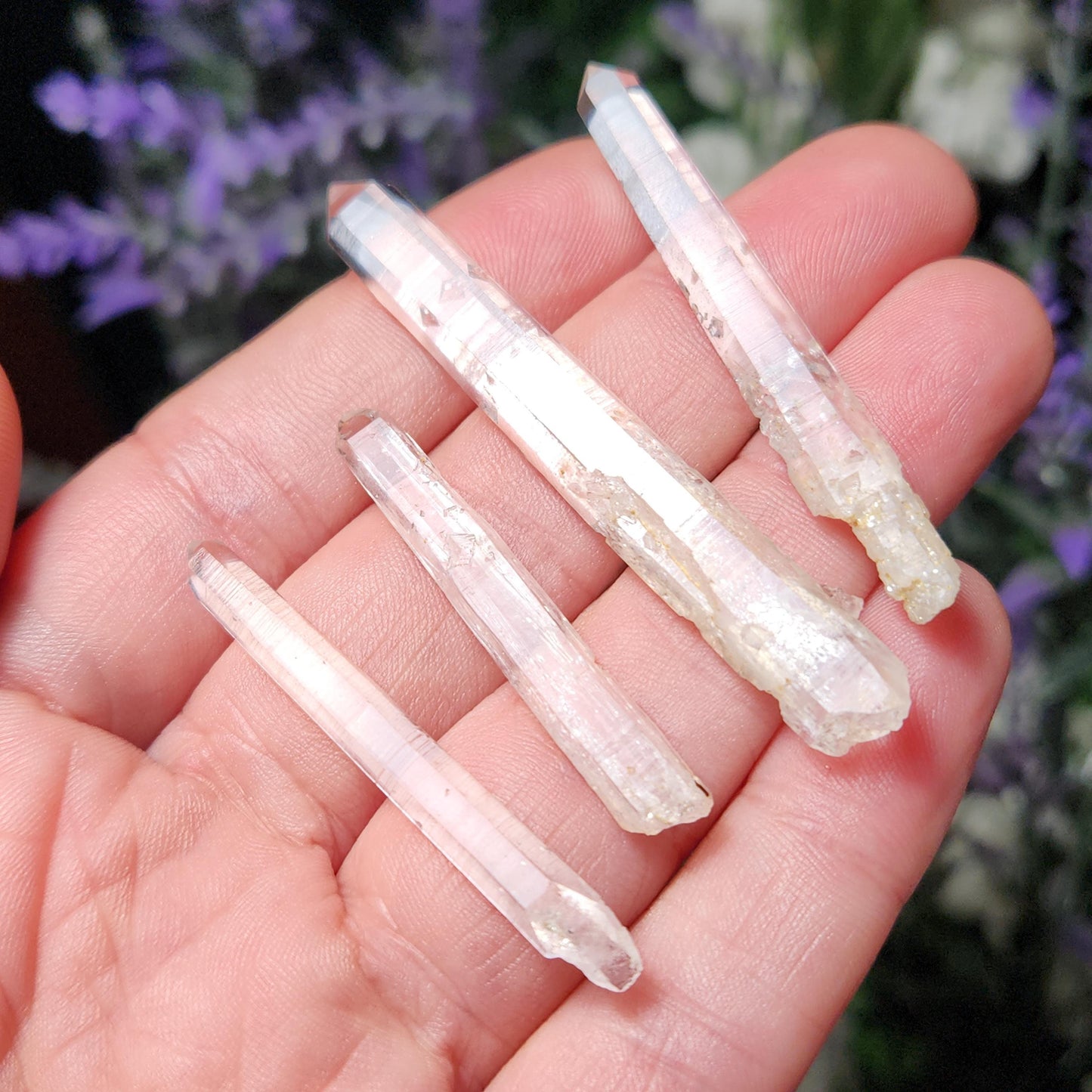Angel Chime Lemurian Quartz