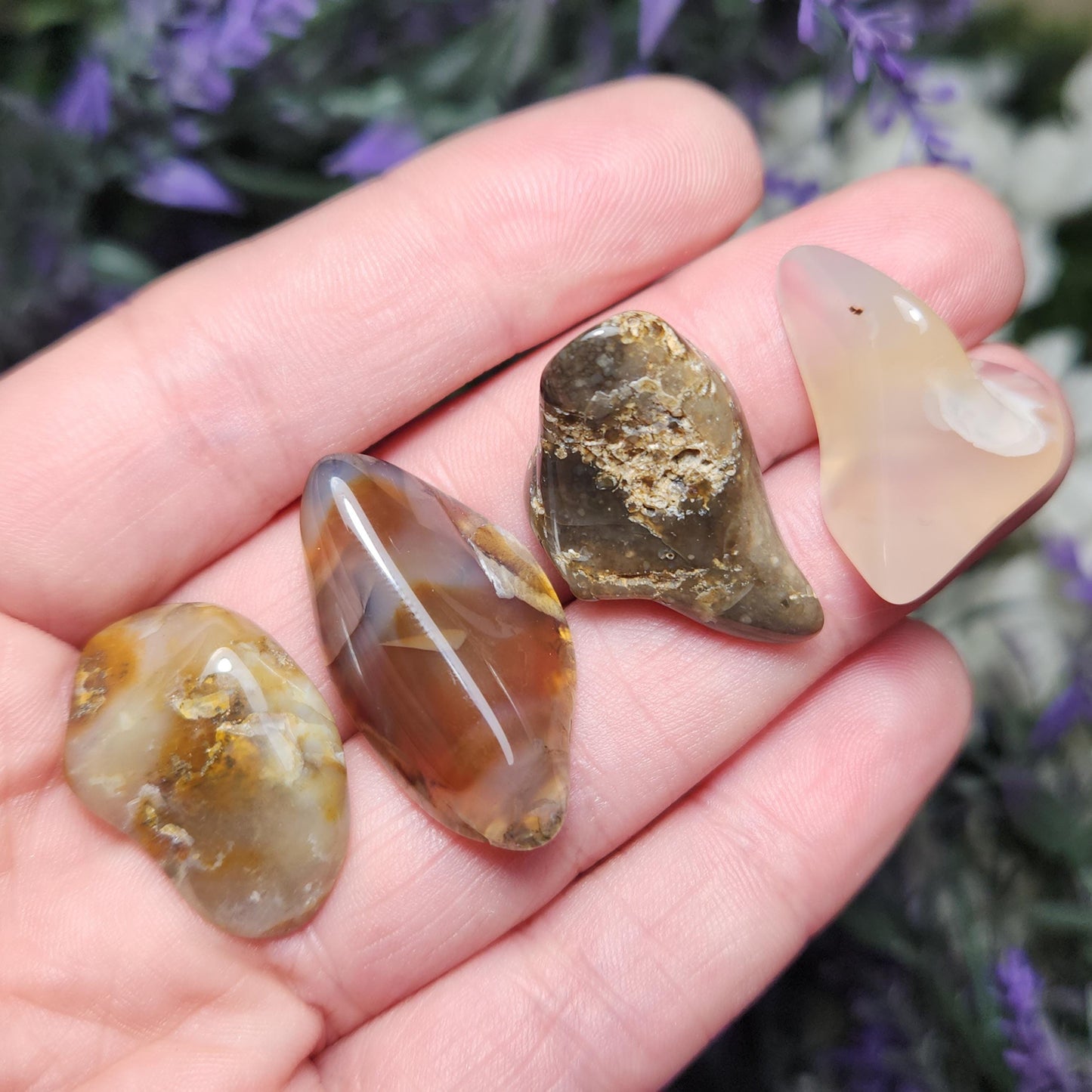 Montana Agate