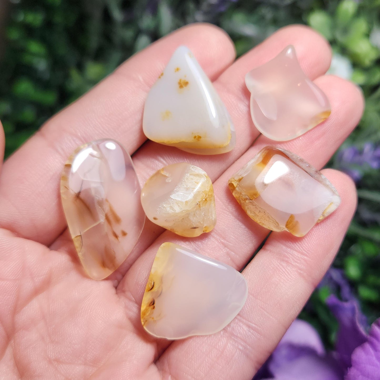 Golden Montana Agate