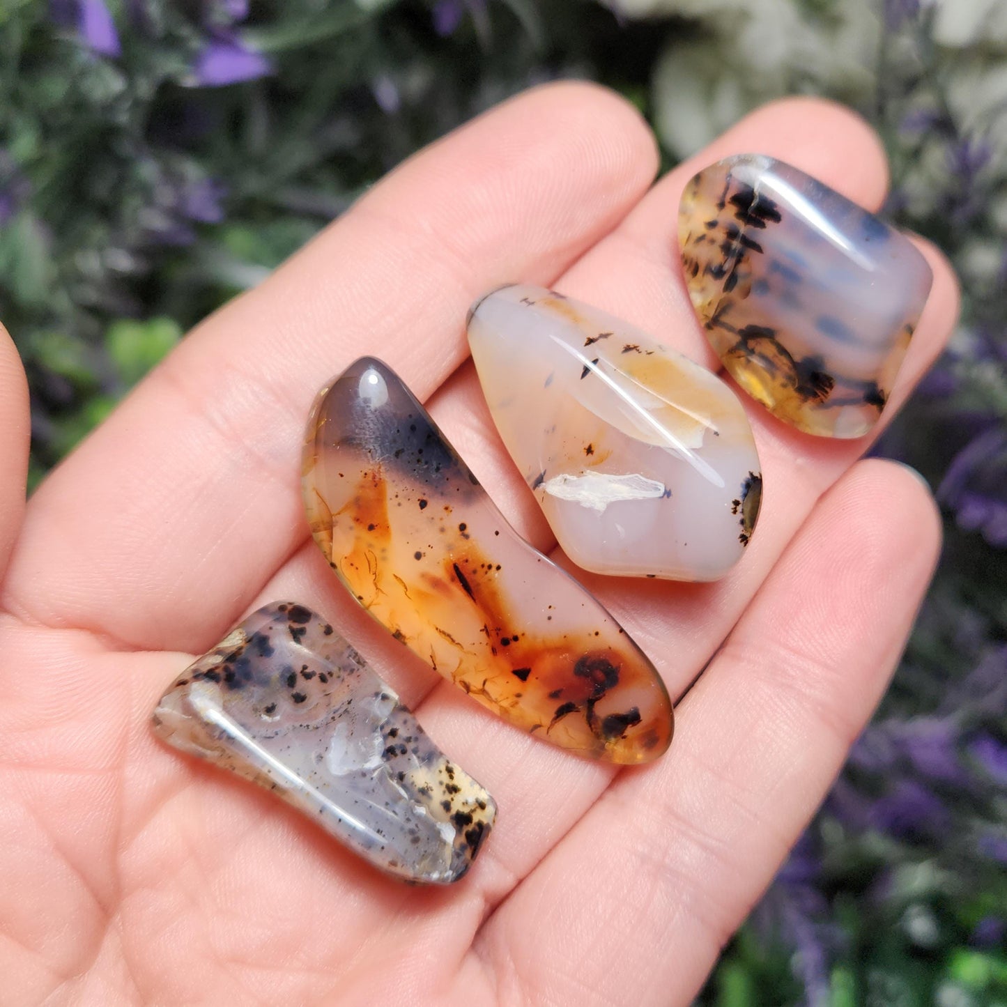 Montana Agate