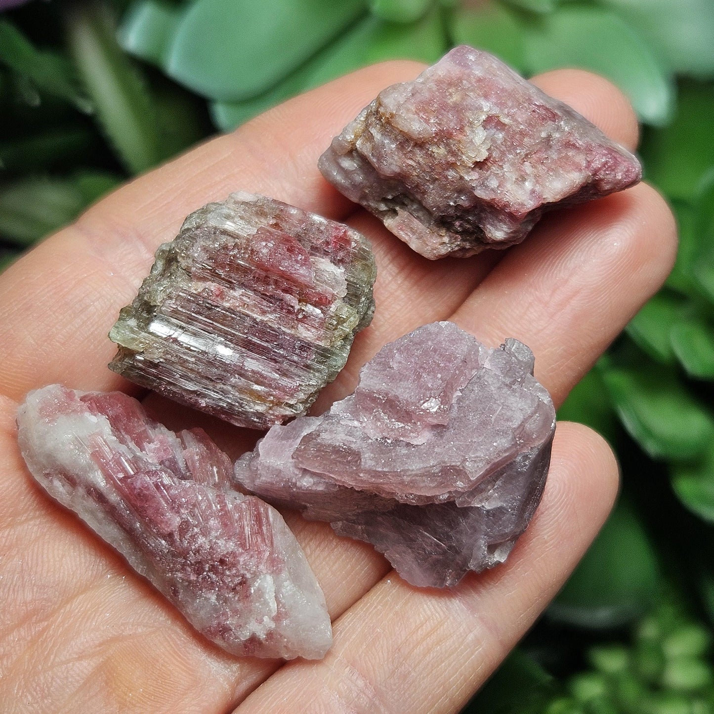 Brazilian Pink Tourmaline & Lepidolite Crystal