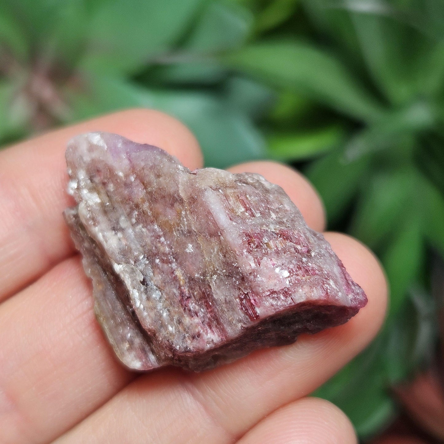 Brazilian Pink Tourmaline & Lepidolite Crystal