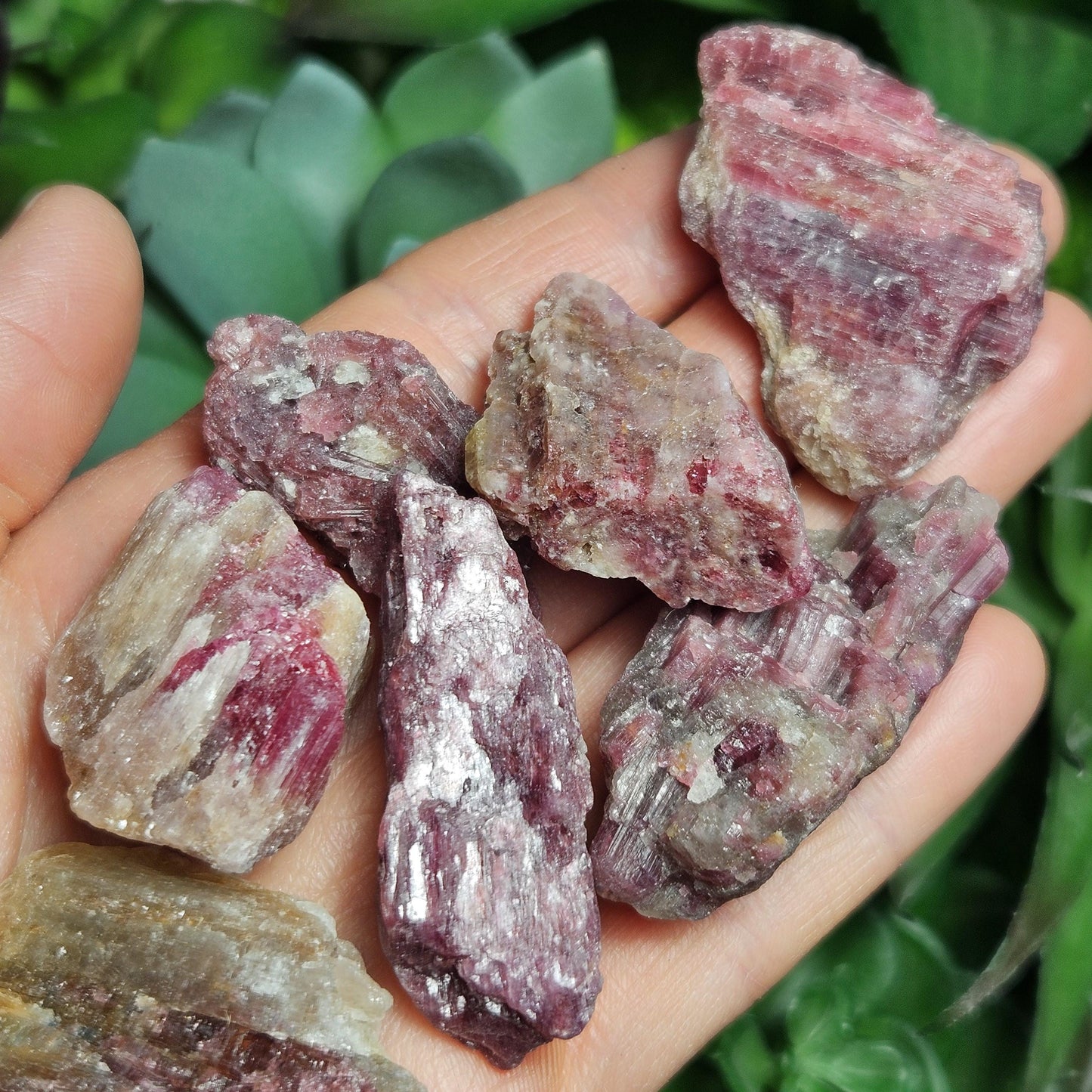 Brazilian Pink Tourmaline & Lepidolite Crystal