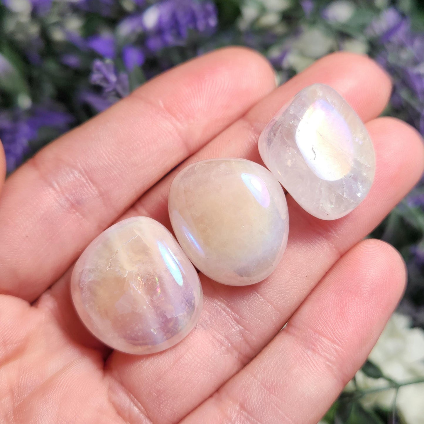 Angel Aura Rose Quartz Crystal