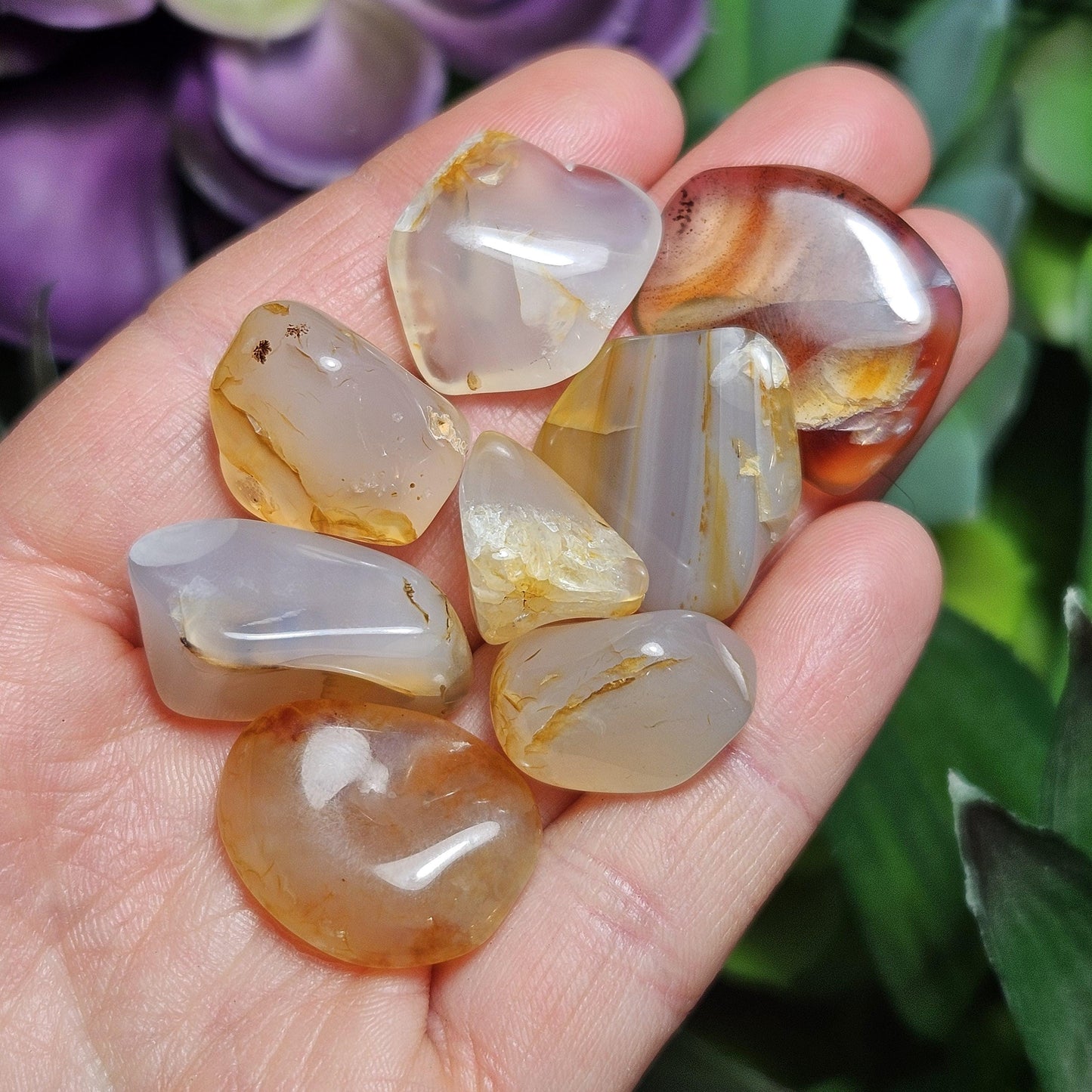 Golden Montana Agate