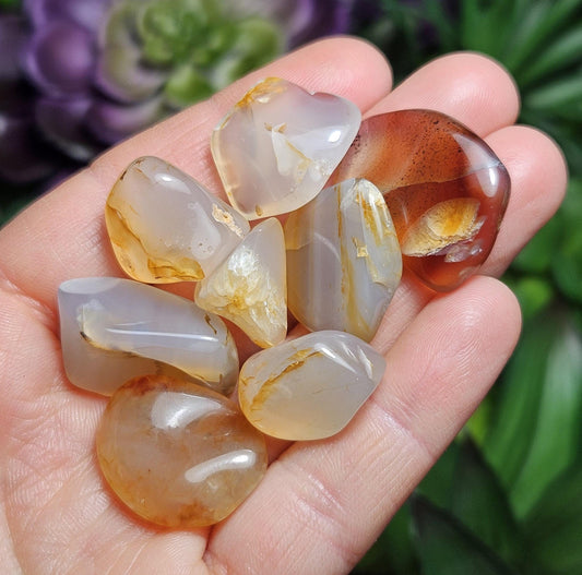 Golden Montana Agate