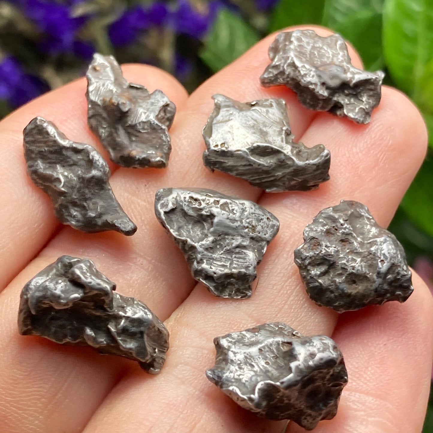 Meteorite